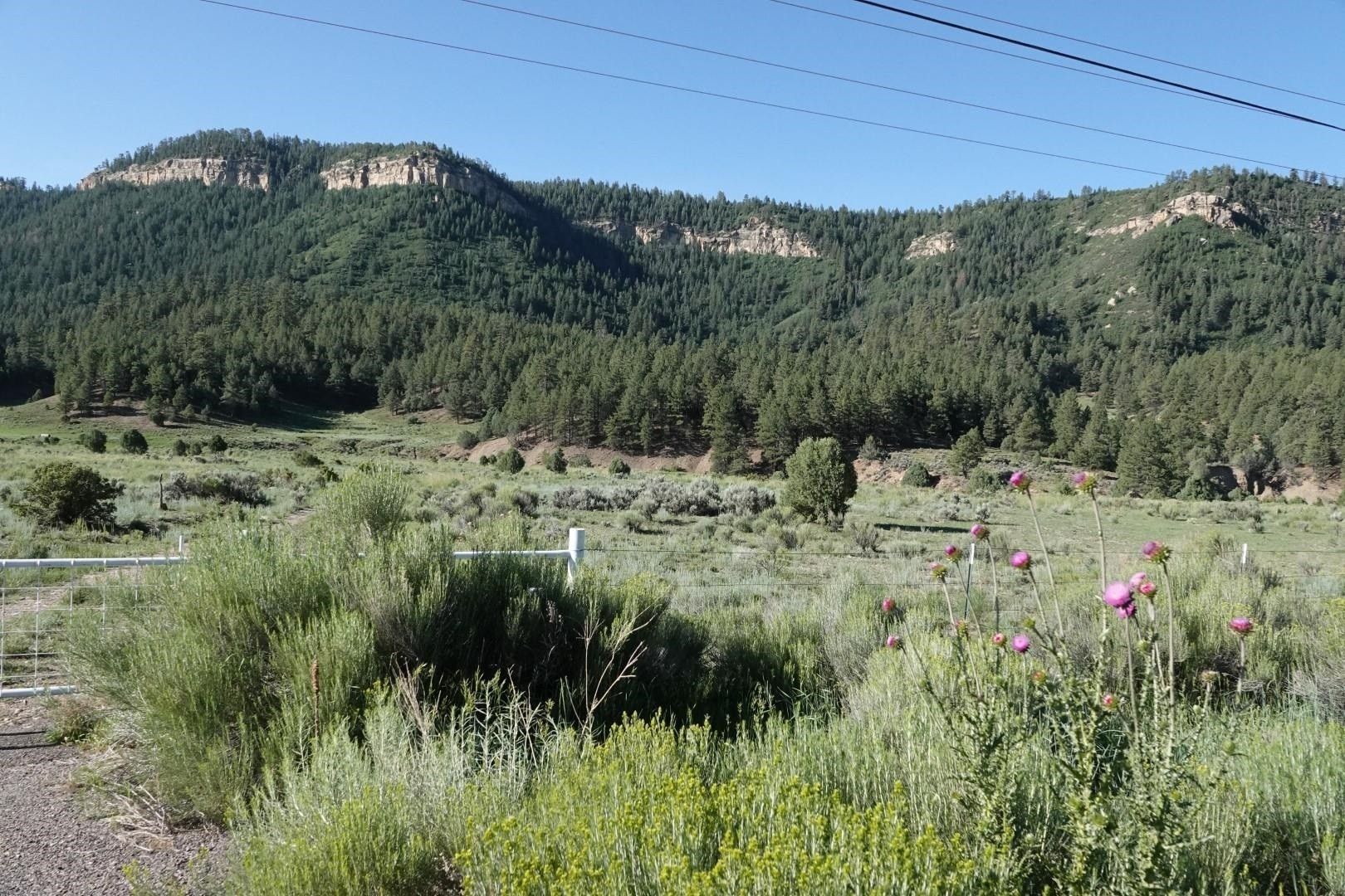 Chama, Rio Arriba County, NM Farms and Ranches for sale Property ID
