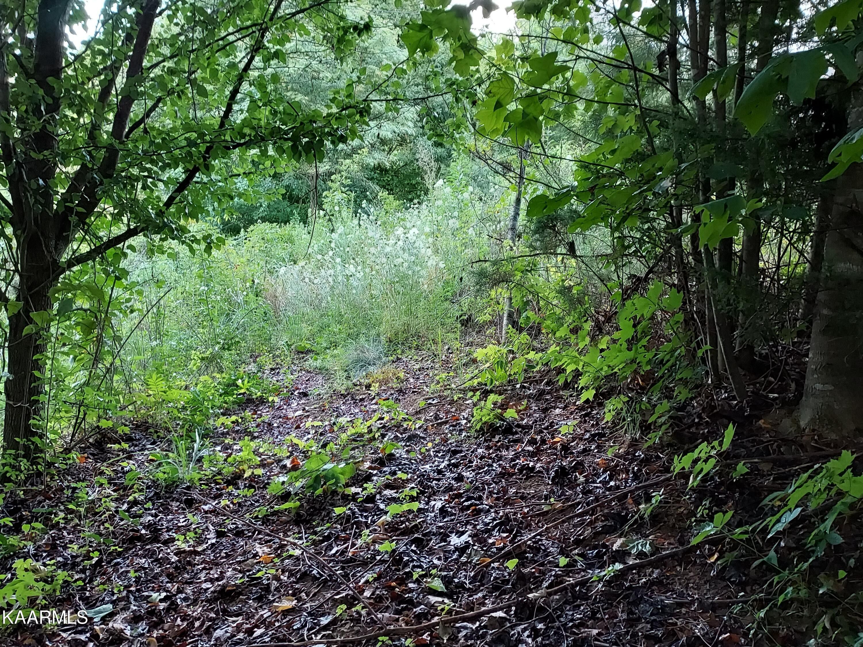 Sneedville, Hancock County, TN Undeveloped Land, Homesites for sale