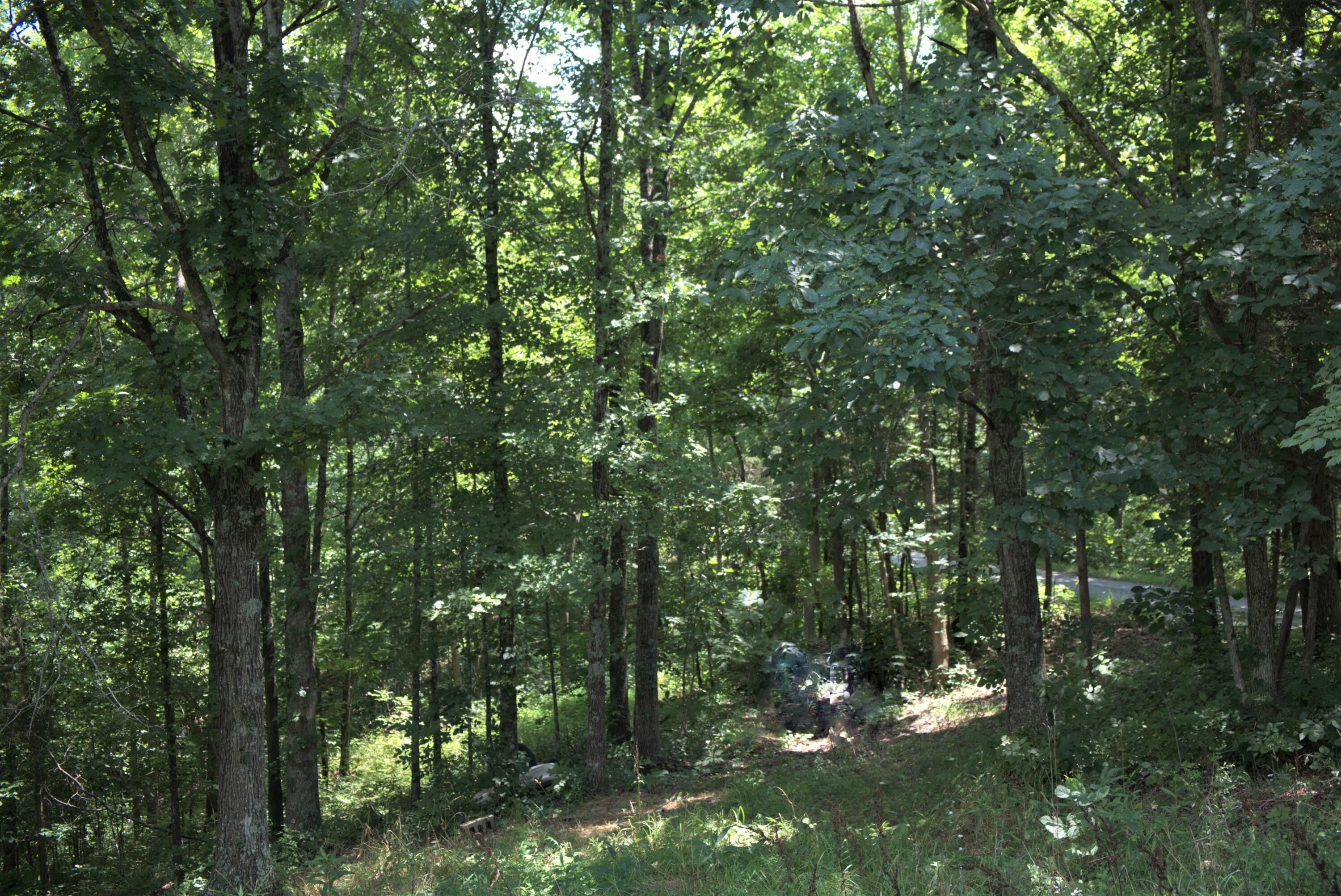 Owenton, Owen County, KY Farms and Ranches, House for sale Property ID