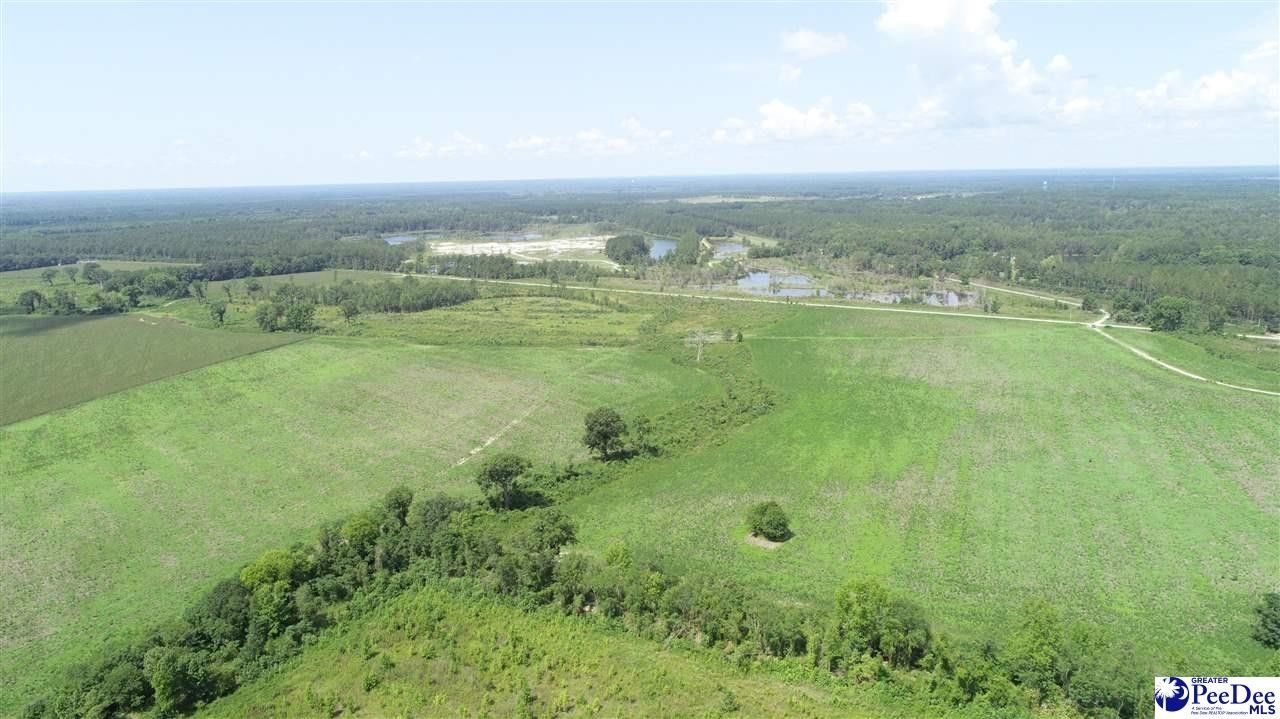 Marlboro County, SC Farms and Ranches for sale Property