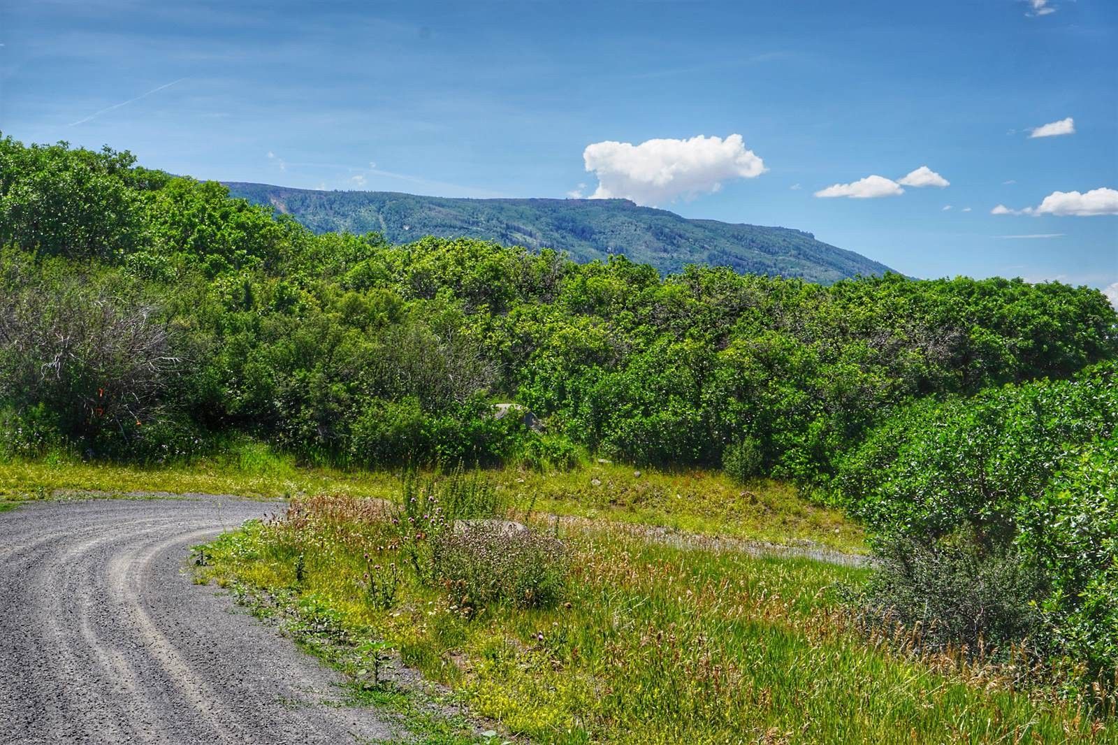 Mesa, Mesa County, CO Farms and Ranches for sale Property ID 411845543