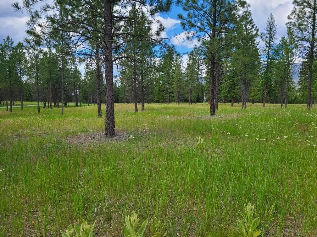 Thompson Falls, Sanders County, MT Undeveloped Land, Homesites for sale