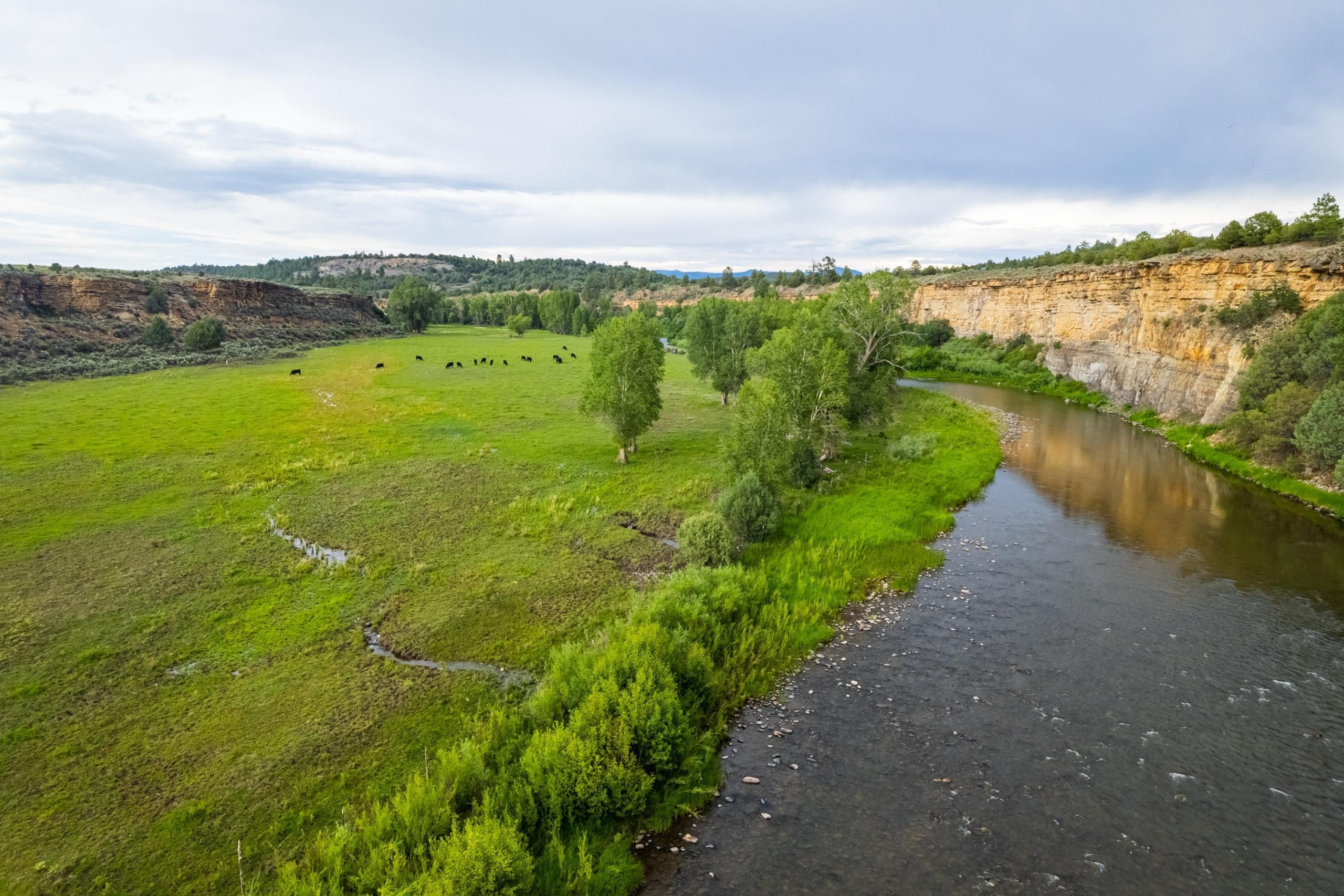 699 State Hwy 95, Los Ojos, NM 87551 LandWatch