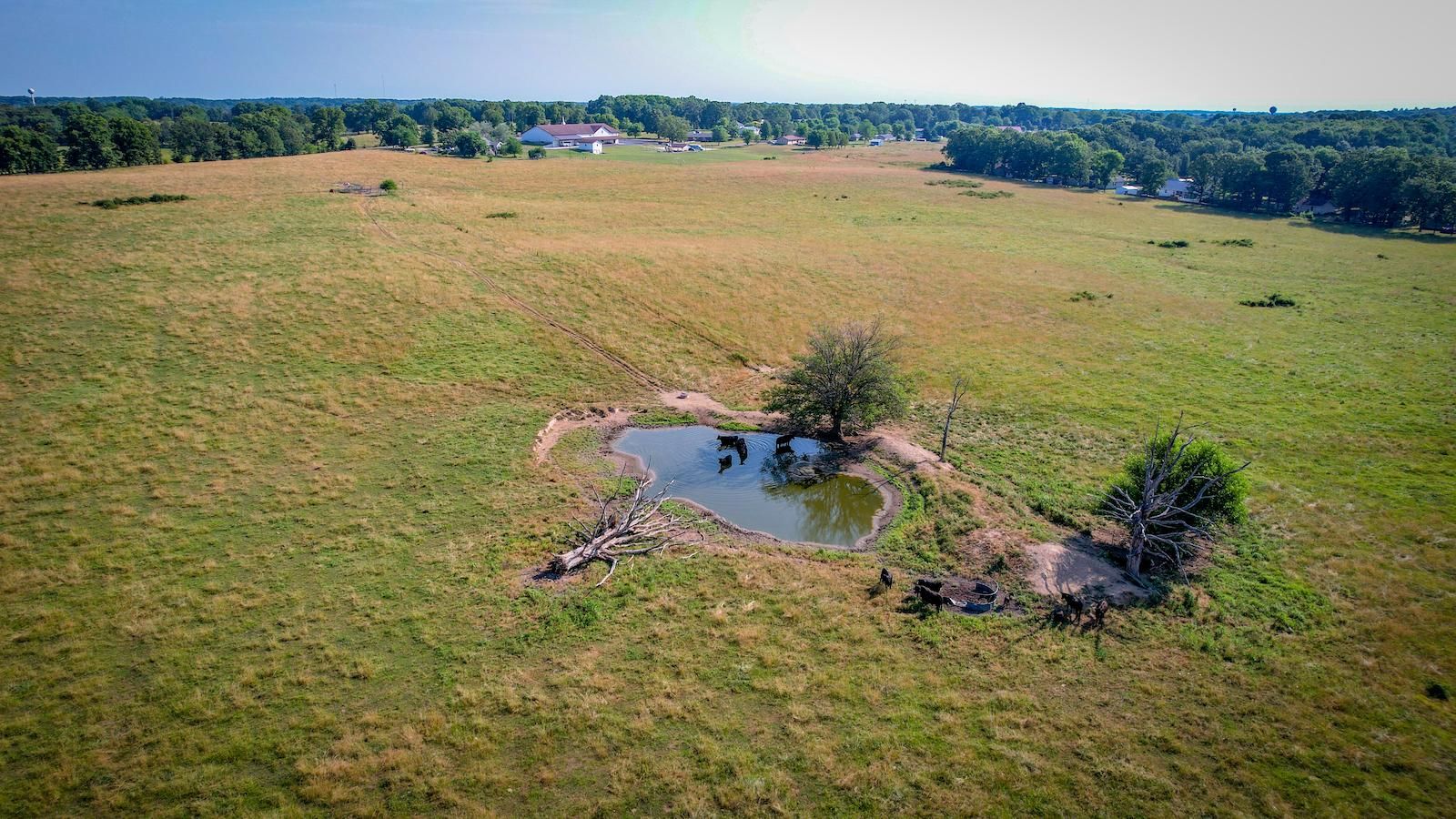 Mountain View, Howell County, MO Farms and Ranches, Hunting Property