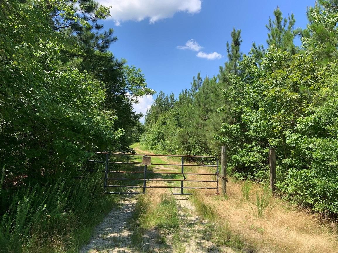 Kinsale, Westmoreland County, VA Recreational Property, Timberland