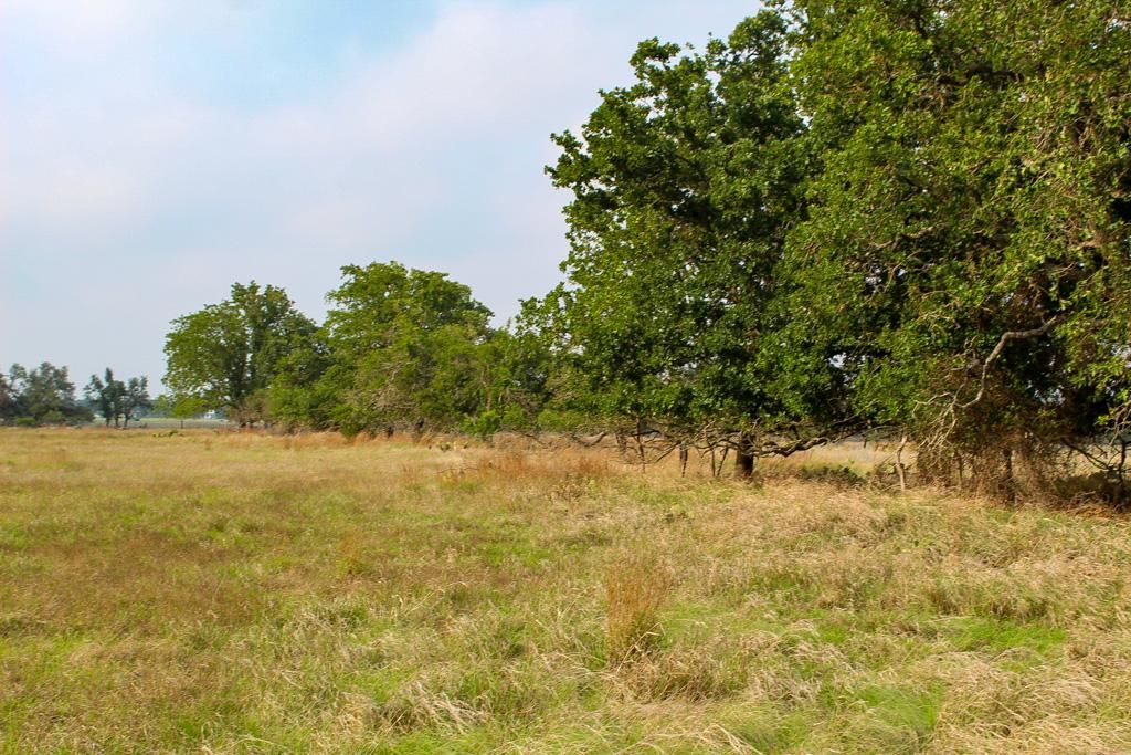 Farm to market 479, Harper, TX 78631 LandWatch