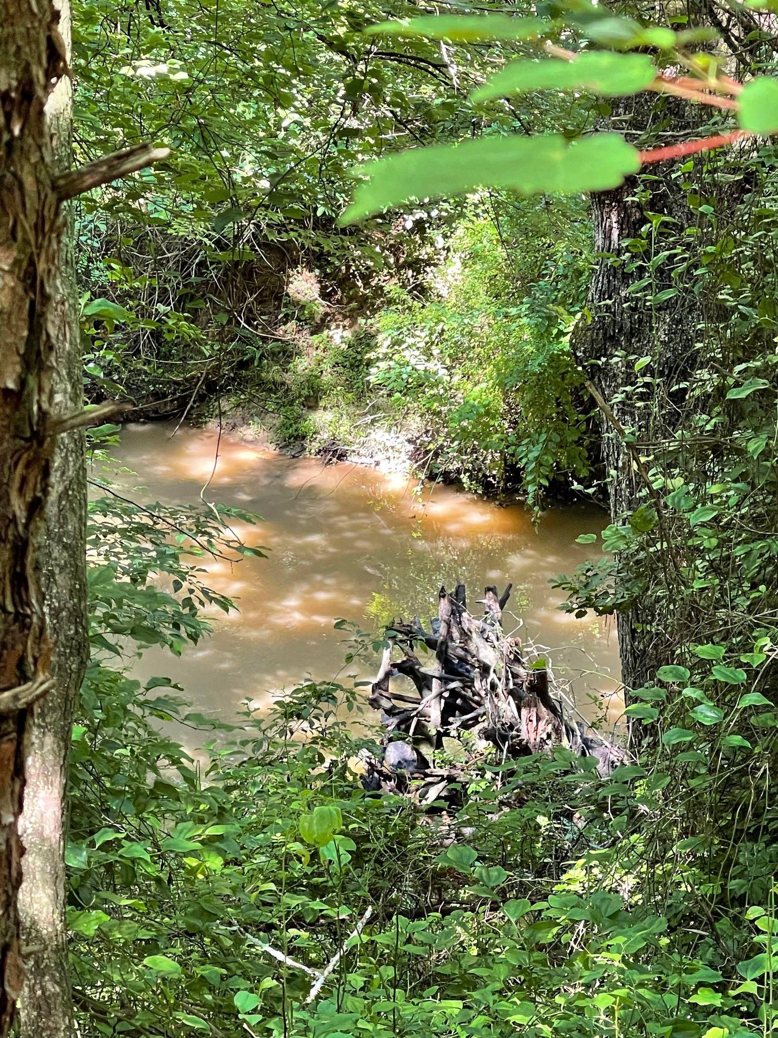 Thurmond, Wilkes County, NC Undeveloped Land for sale Property ID