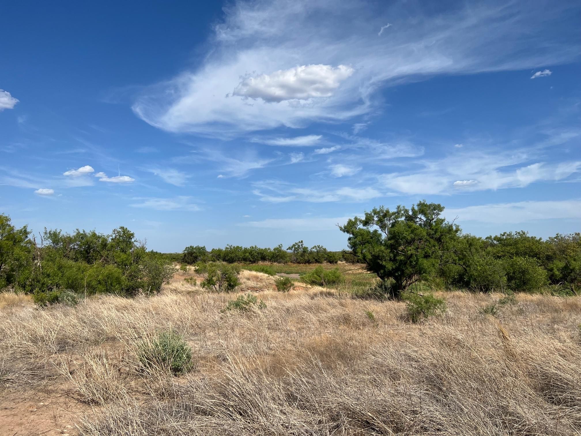 Roscoe, Nolan County, TX Farms and Ranches, Recreational Property