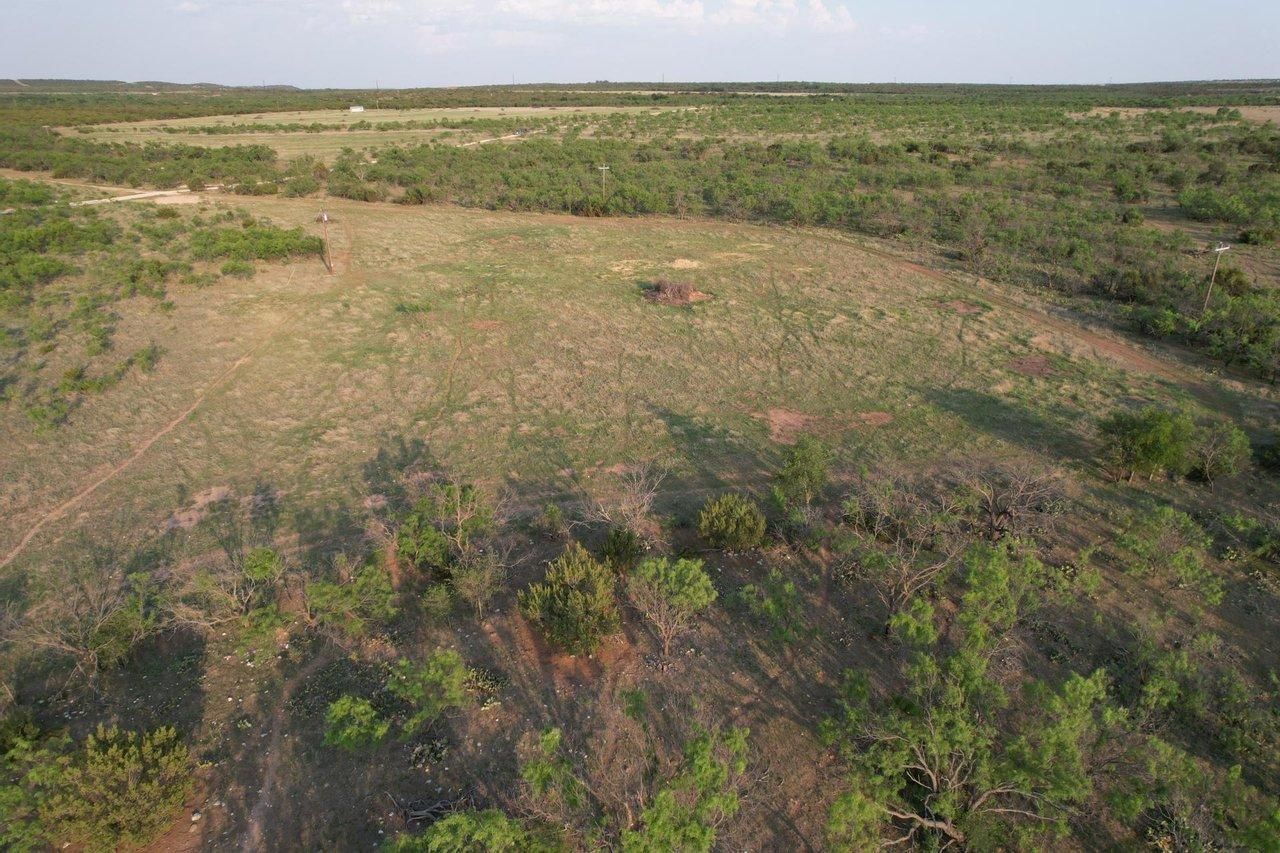 Wingate, Taylor County, TX Farms and Ranches, Hunting Property for sale