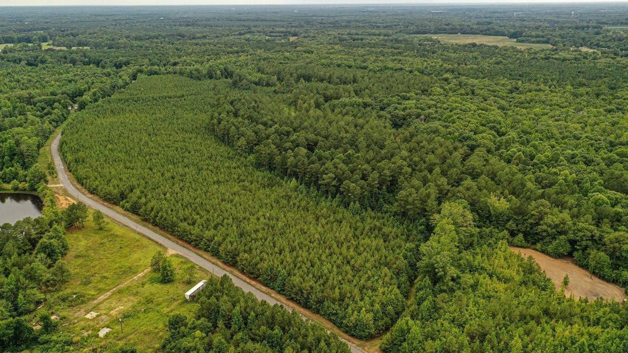 Aberdeen, Monroe County, MS Timberland Property, Undeveloped Land