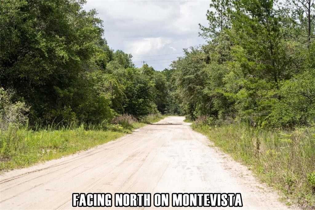 Beverly Hills, Citrus County, FL Undeveloped Land, Homesites for sale Property ID 414298863