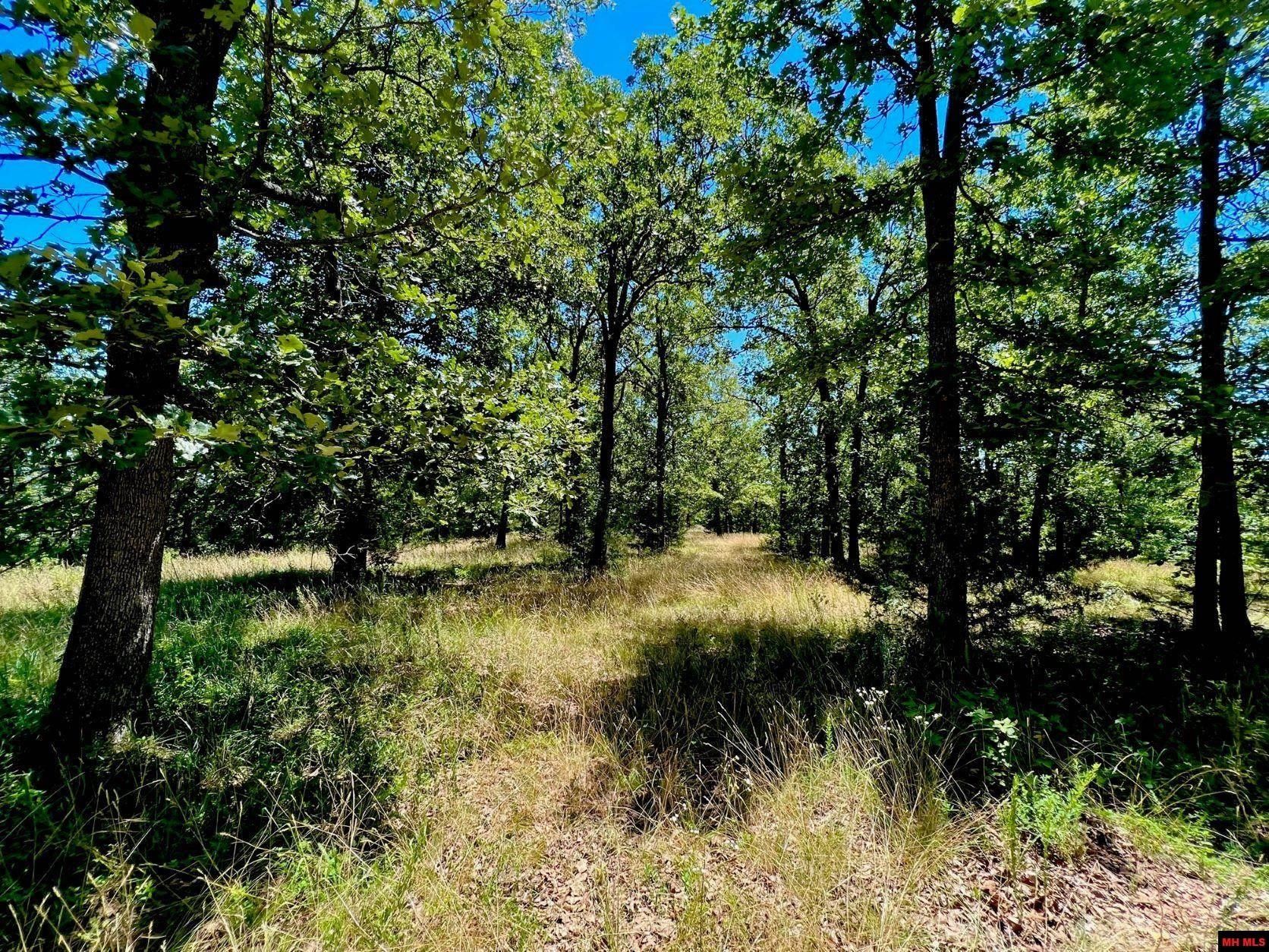 Clarkridge, Baxter County, AR Undeveloped Land for sale Property ID