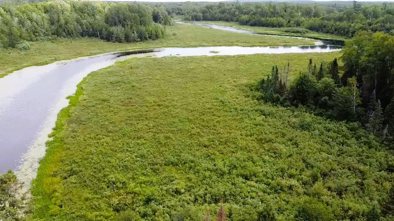 Cayuga, Ashland County, WI Undeveloped Land, Lakefront Property