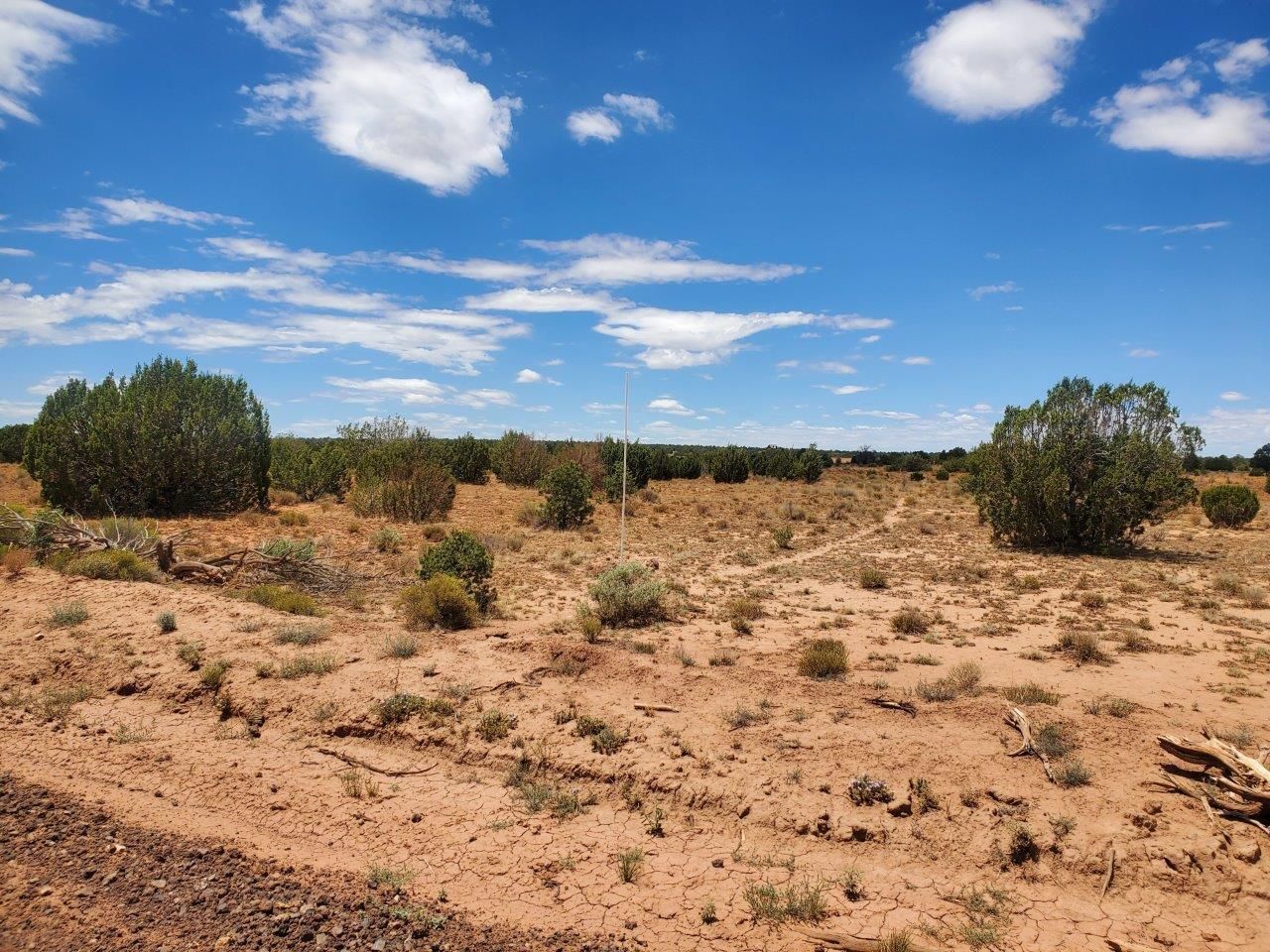 Williams, Coconino County, AZ Recreational Property, Undeveloped Land