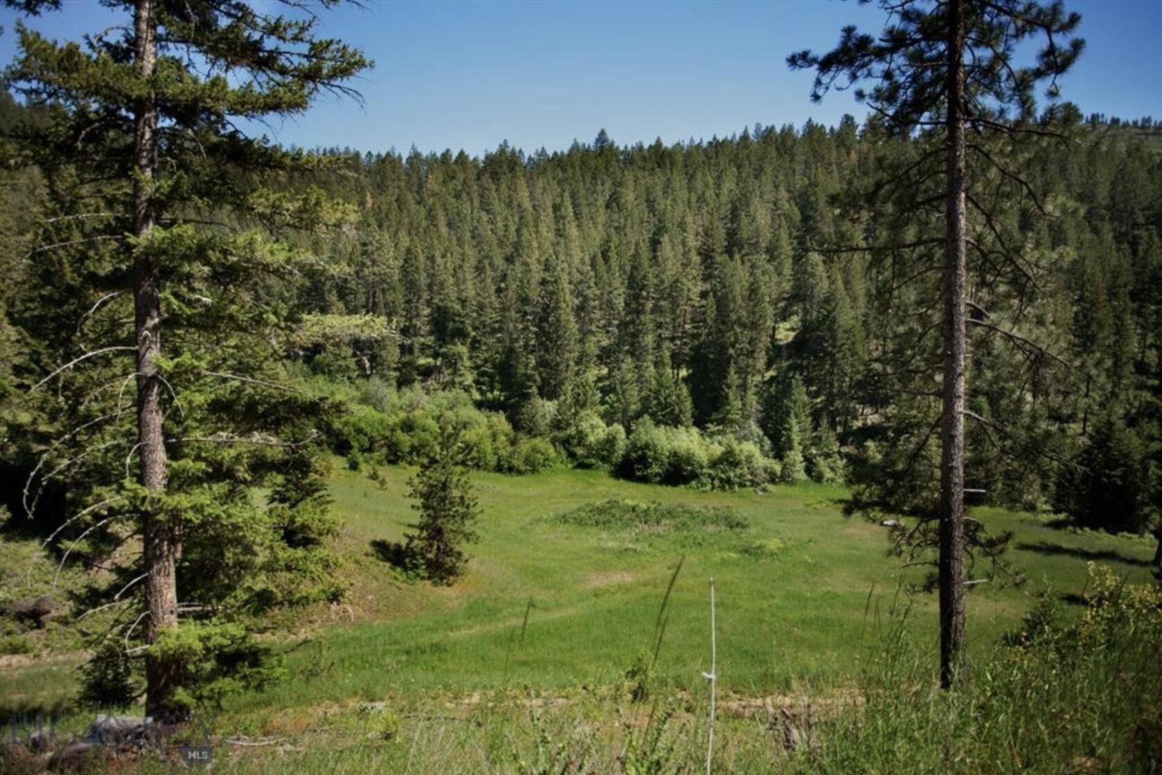 Florence, Ravalli County, MT Undeveloped Land for sale Property ID
