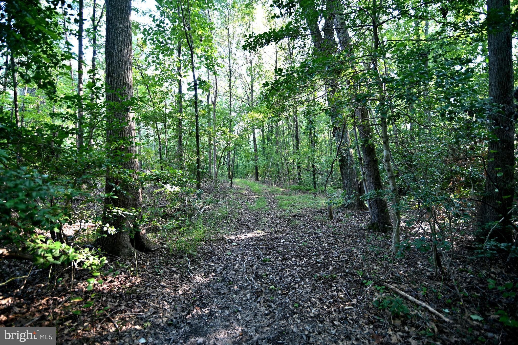 Nanjemoy, Charles County, MD Farms and Ranches for sale Property ID