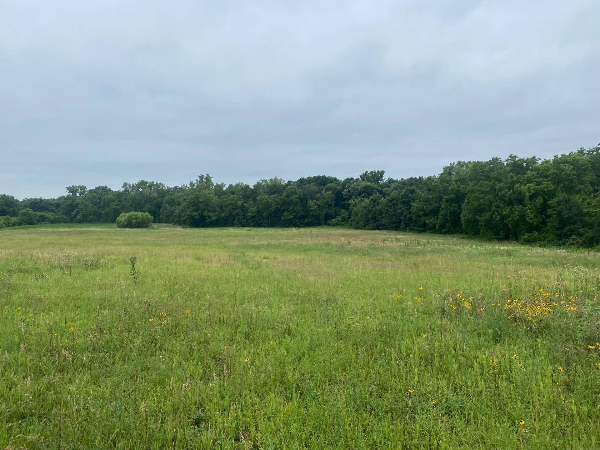 Coffey, Daviess County, MO Undeveloped Land for sale Property ID 414302353 LandWatch
