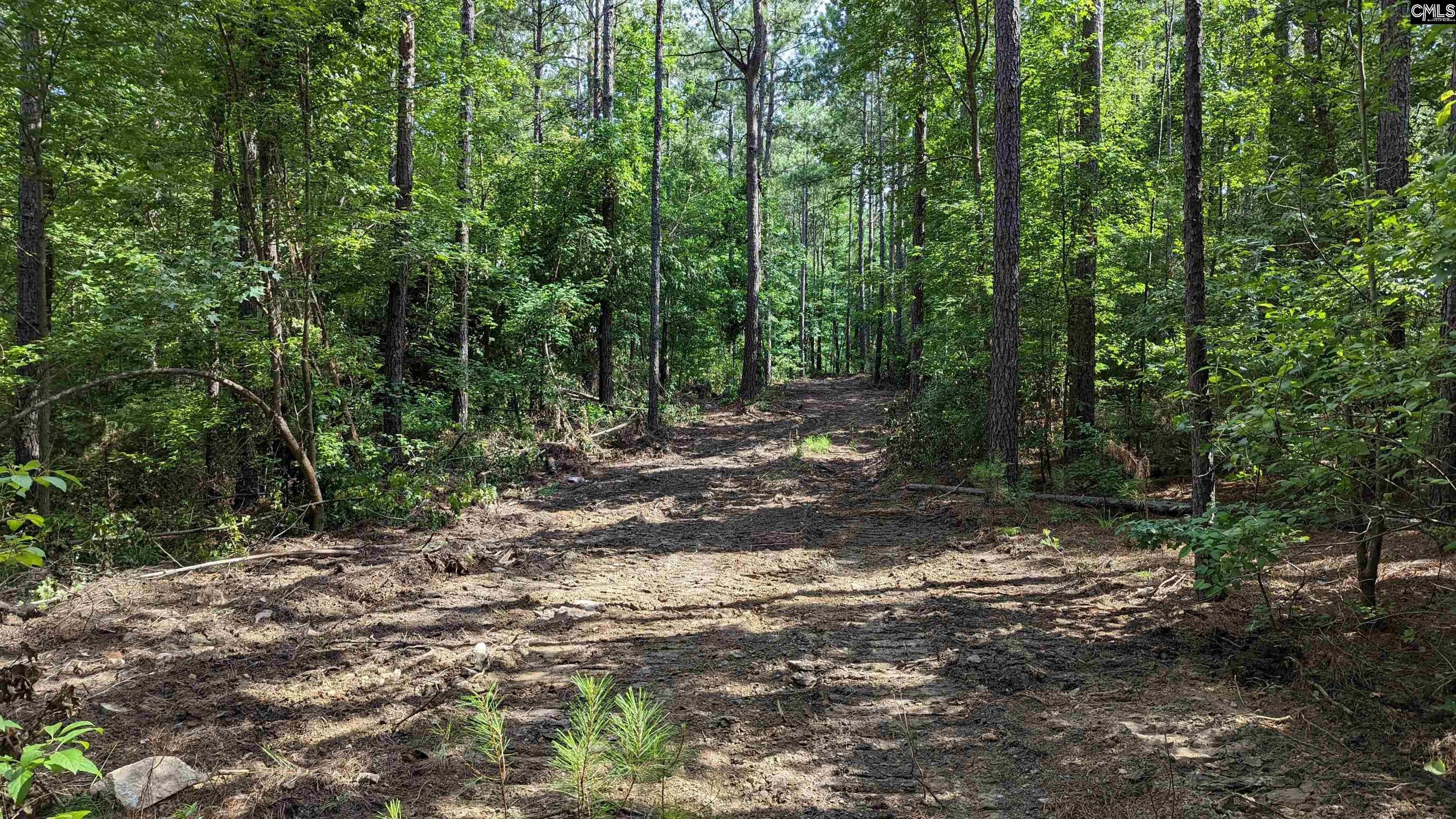 Ridgeway, Fairfield County, SC Undeveloped Land, Lakefront Property