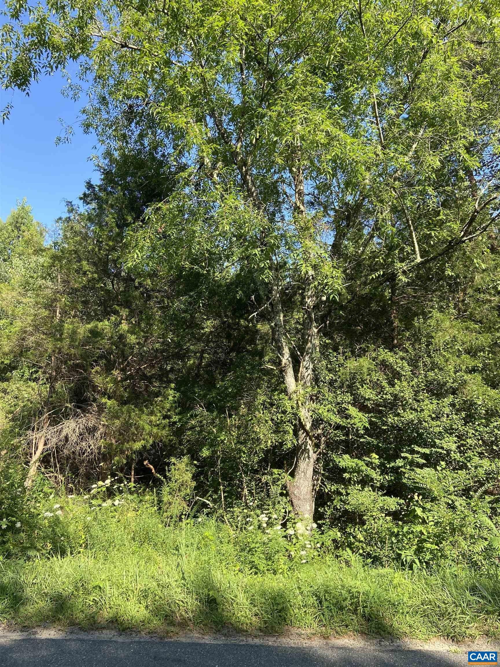 Bumpass, Louisa County, VA Undeveloped Land for sale Property ID