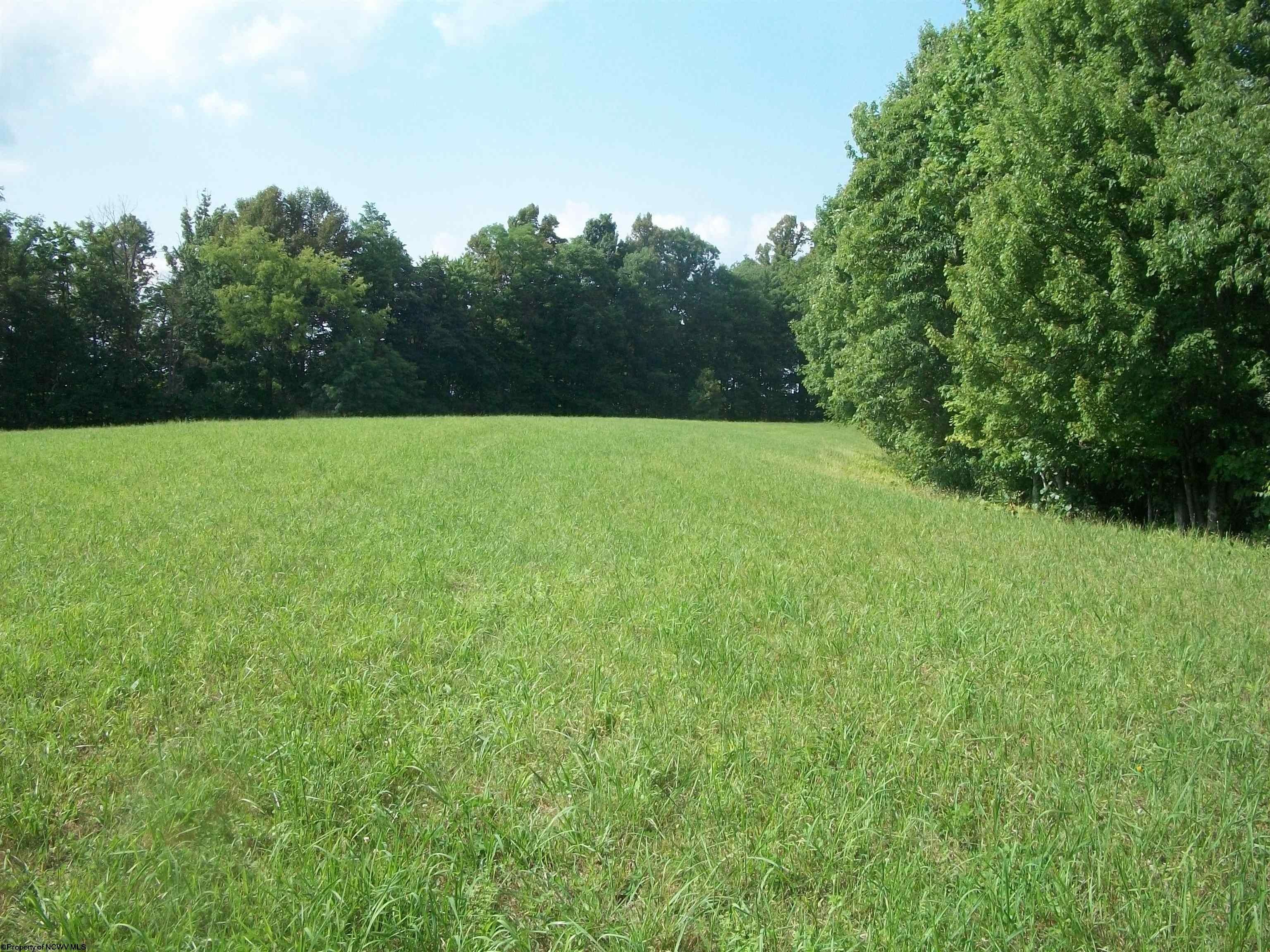 Moatsville, Barbour County, WV Farms and Ranches, Lakefront Property