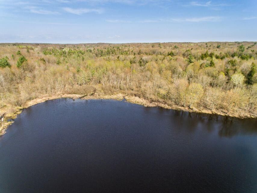 Hesperia, Newaygo County, MI Undeveloped Land, Lakefront Property