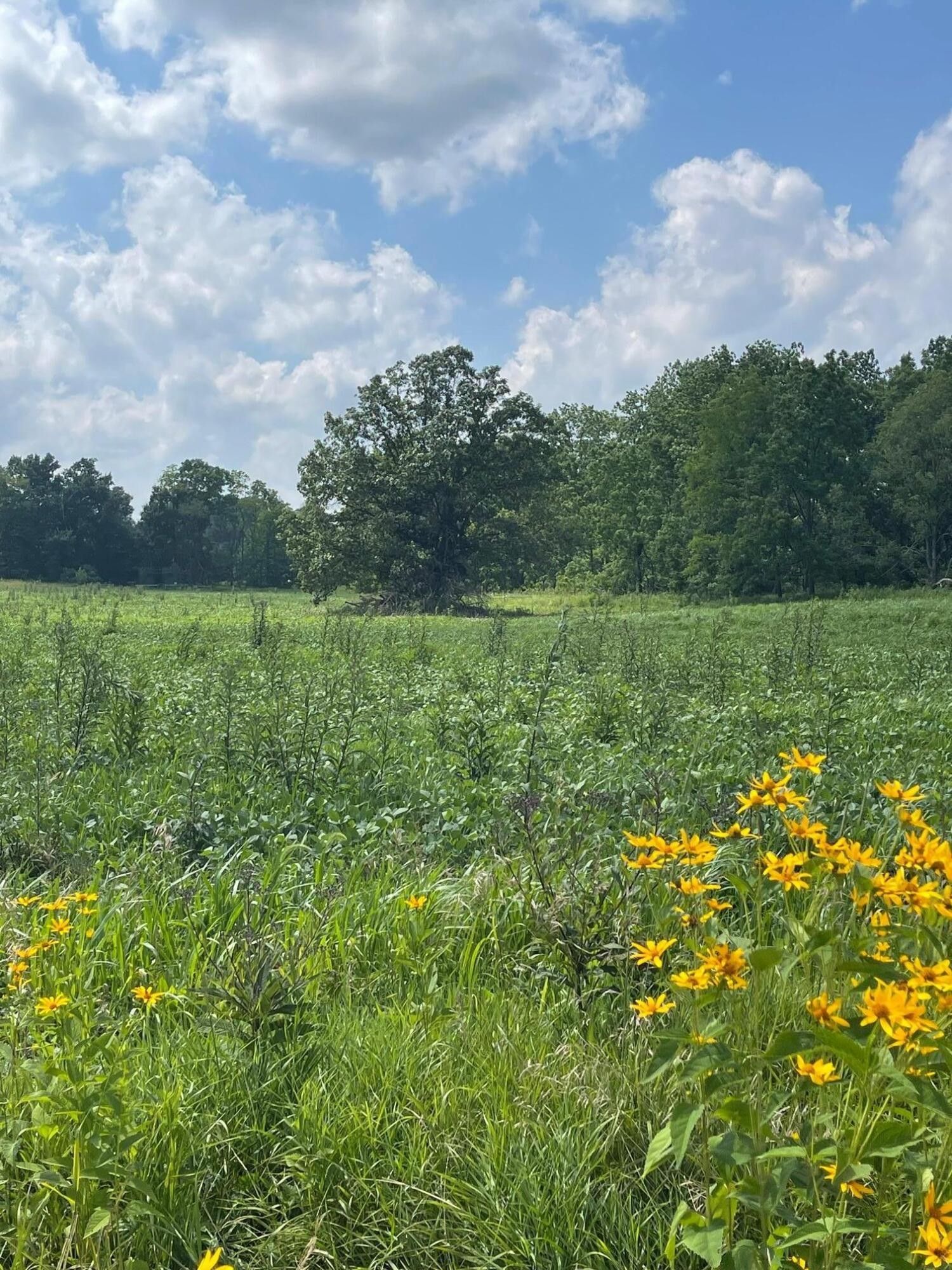 Fredericktown, Knox County, OH Undeveloped Land for sale Property ID