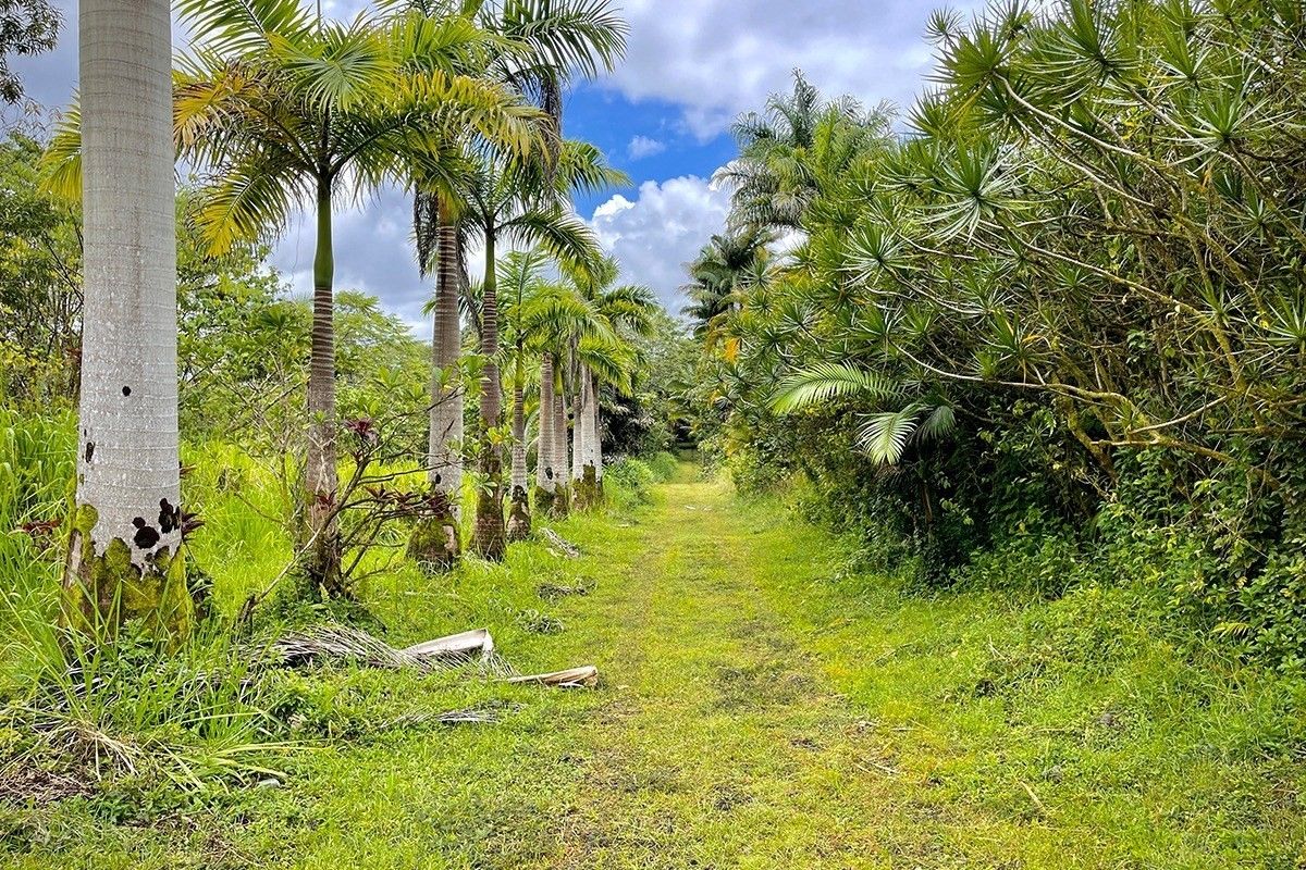 Mountain View, Hawaii County, HI Undeveloped Land for sale Property ID