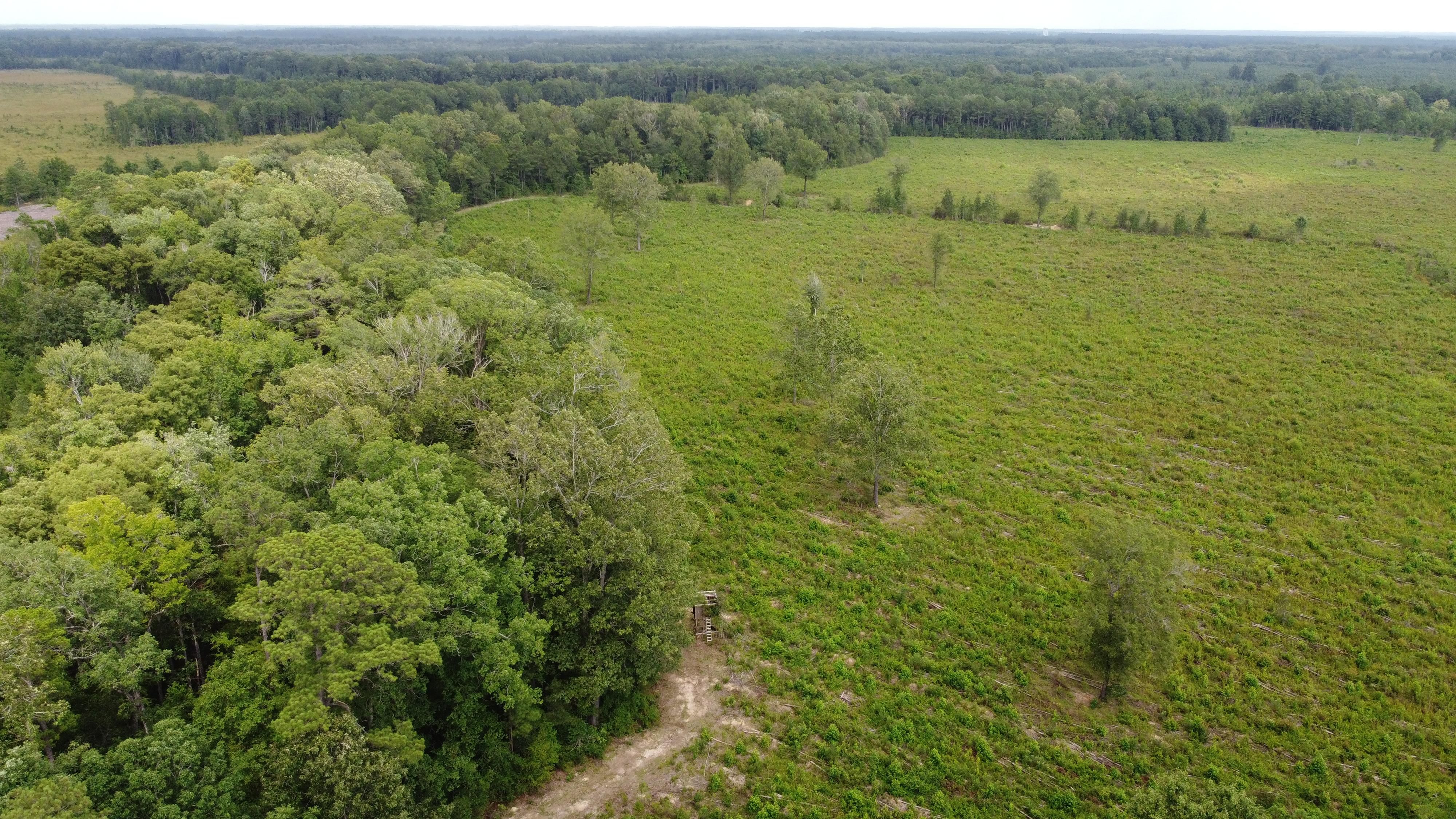 Sellers, Marion County, SC Recreational Property, Riverfront Property