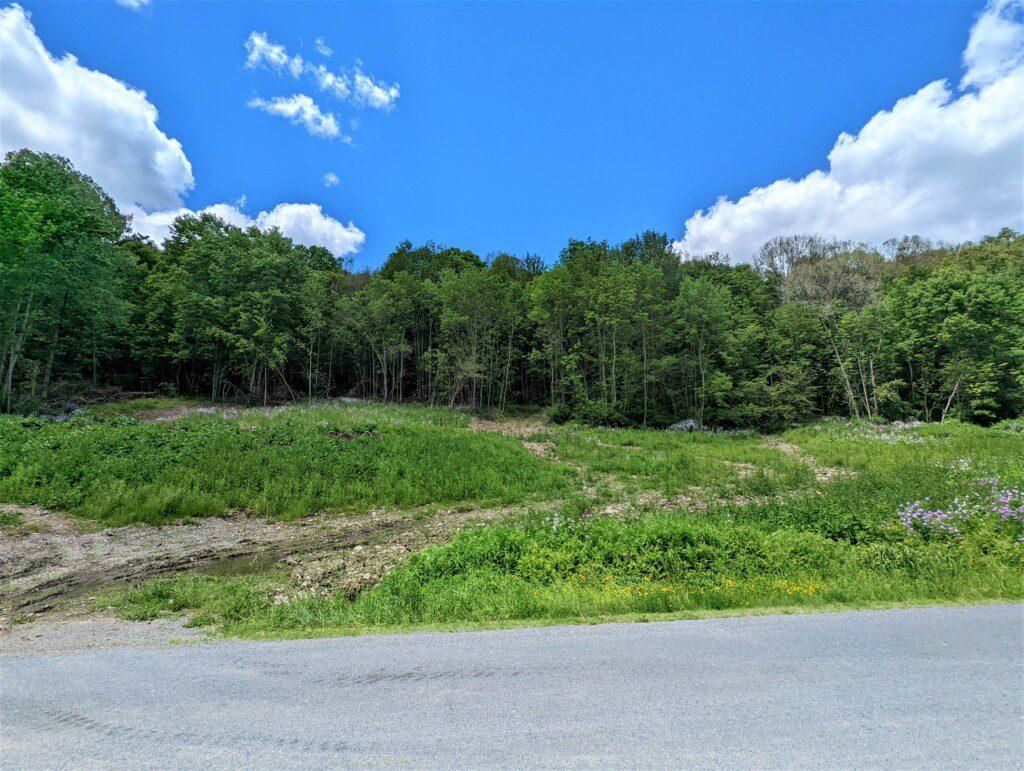 Beeman Hollow Rd, Addison, NY 14801 MLS LQ89366 LandWatch