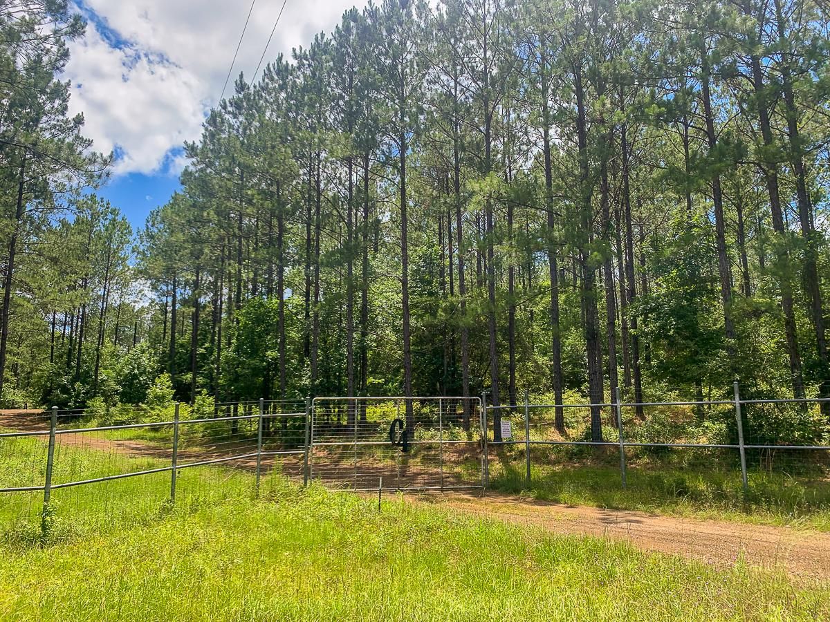 FM 2991, Burkeville, TX 75932 LandWatch