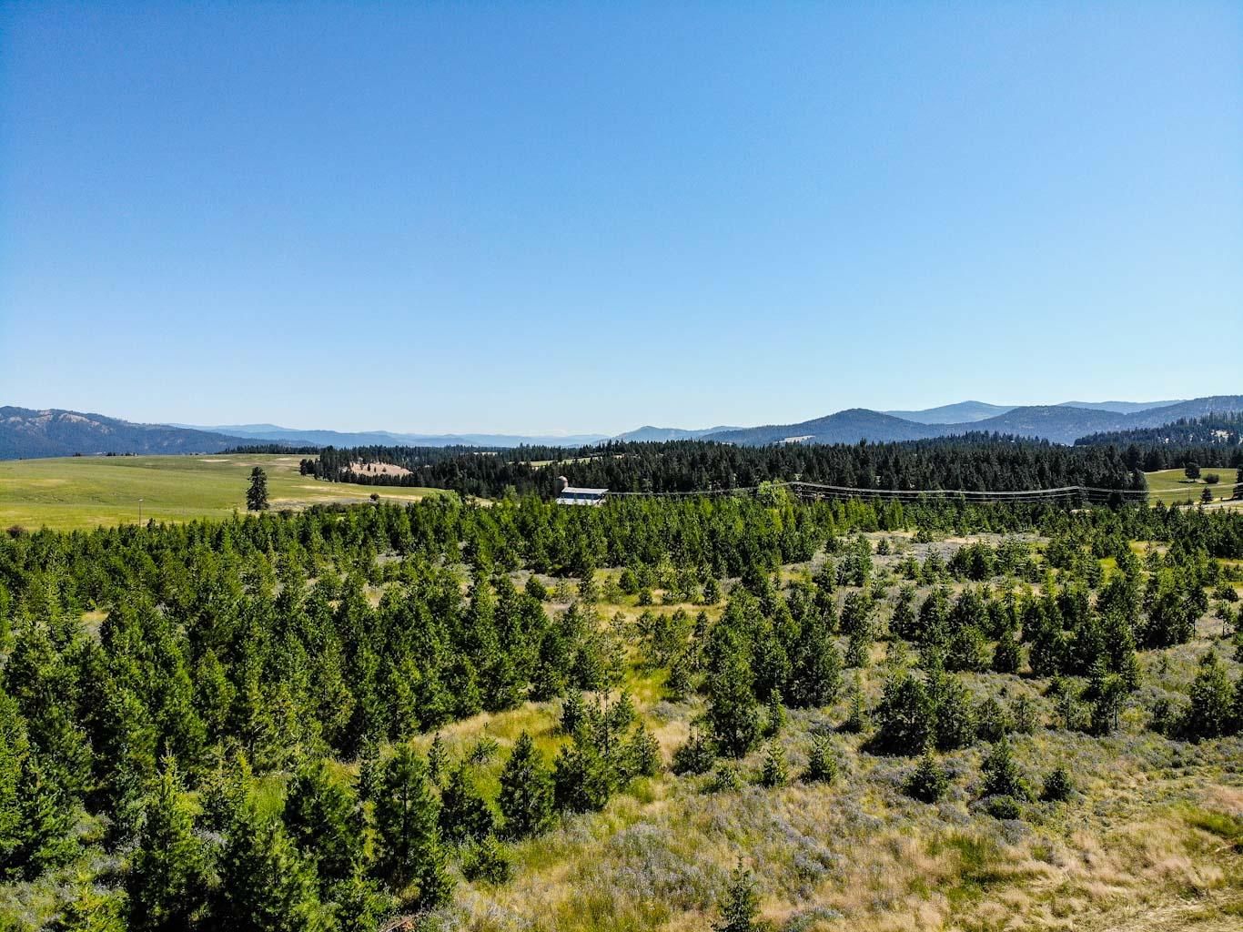 Harrison, Kootenai County, ID Farms and Ranches, Horse Property for
