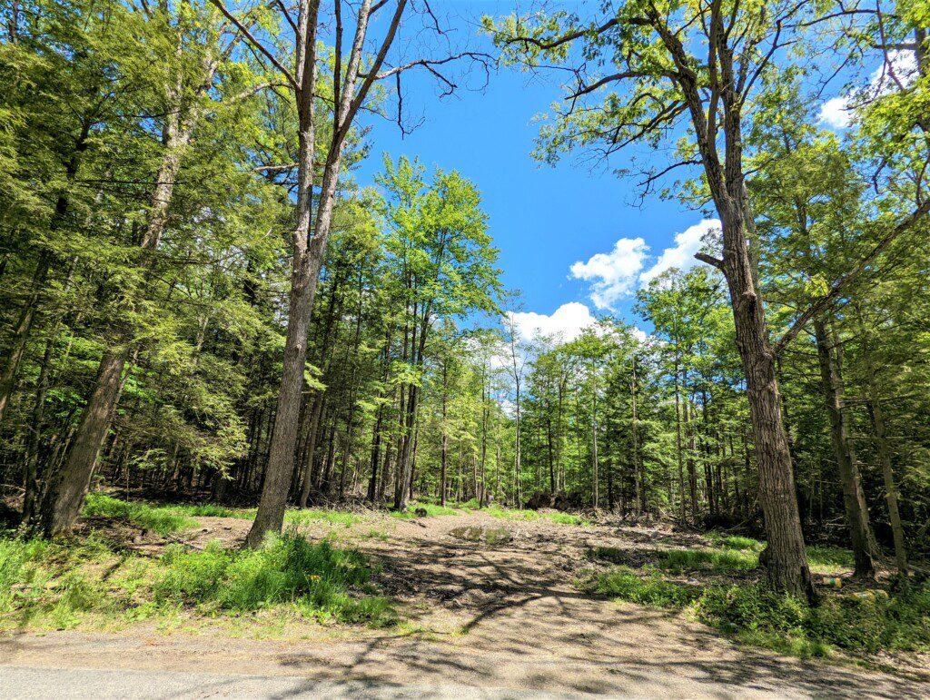 Addison, Steuben County, NY Recreational Property, Hunting Property for