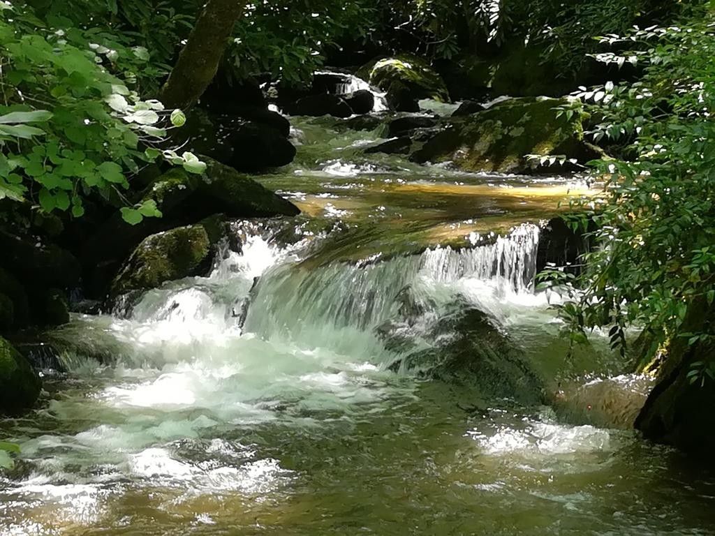 Bryson City, Swain County, NC Farms and Ranches for sale Property ID