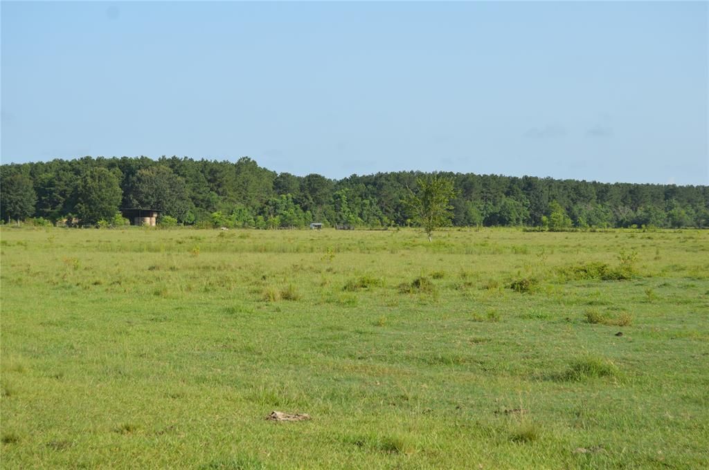 Cleveland, Liberty County, TX Undeveloped Land for sale Property ID