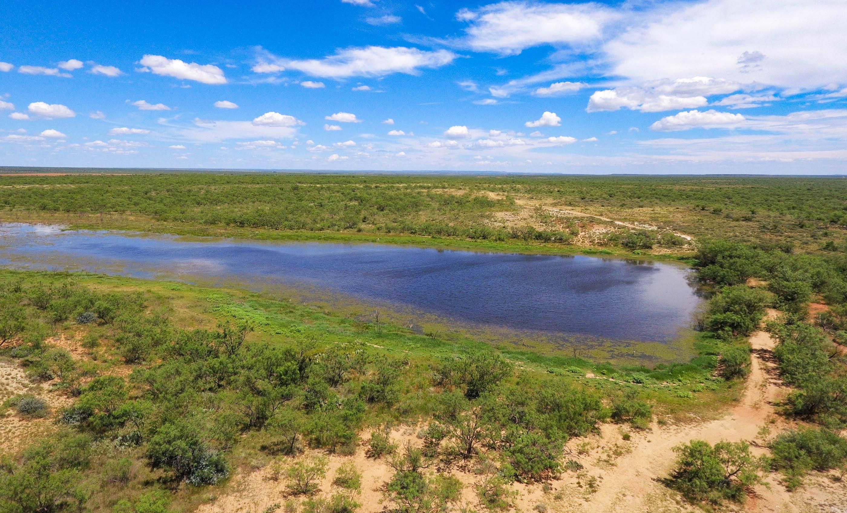 Colorado City, Mitchell County, TX Farms and Ranches, Recreational