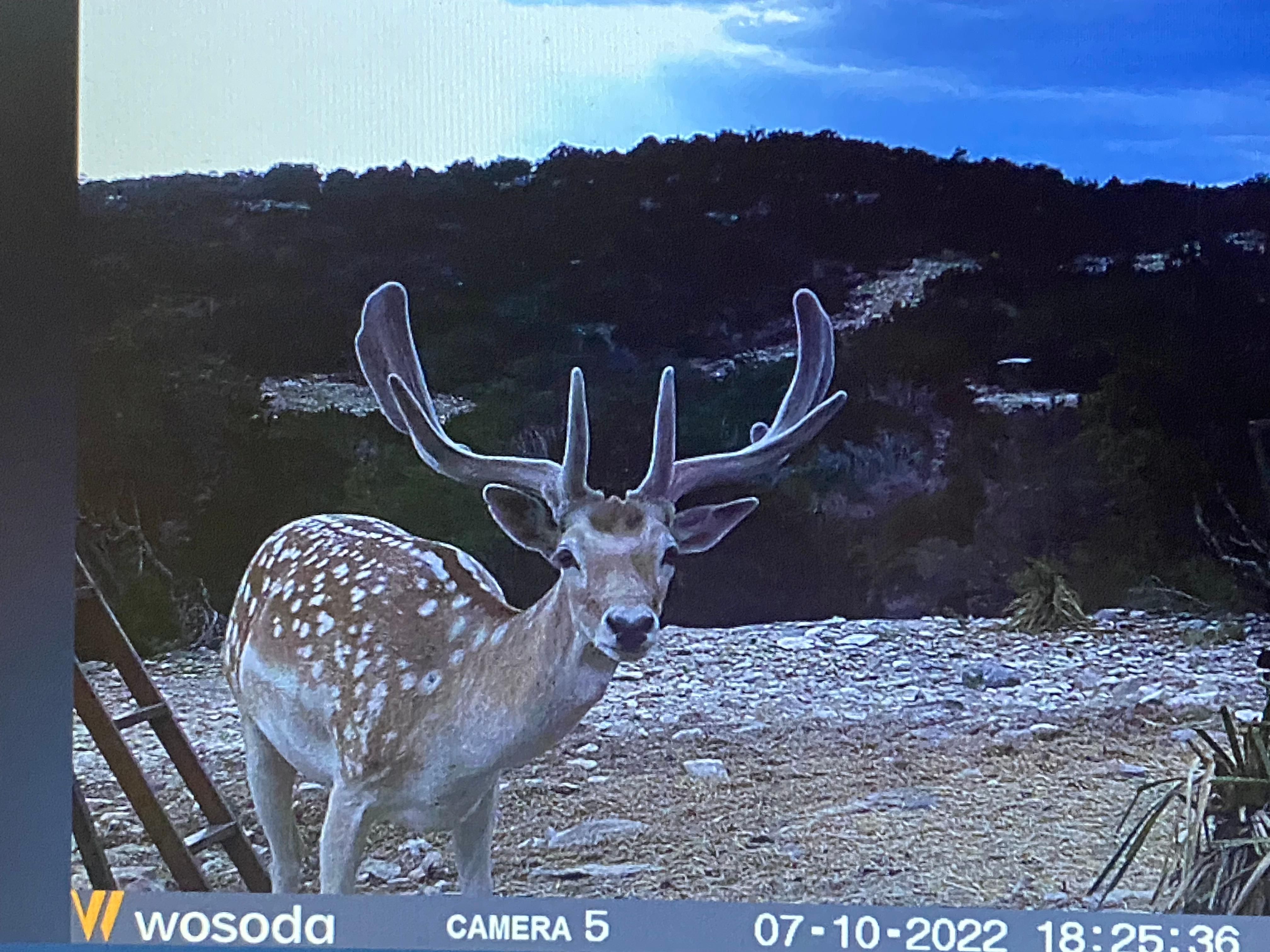 Del Rio, Edwards County, TX Farms and Ranches, Recreational Property