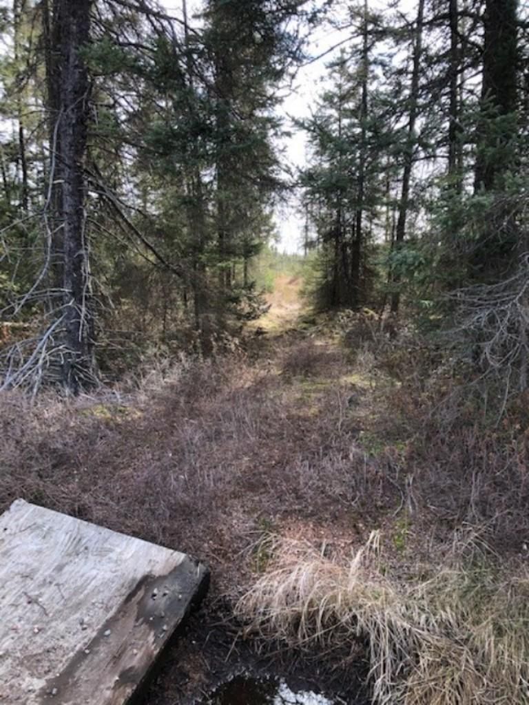 Merrill, Lincoln County, WI Recreational Property, Undeveloped Land