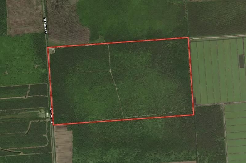 Bayboro, Pamlico County, NC Recreational Property, Timberland Property