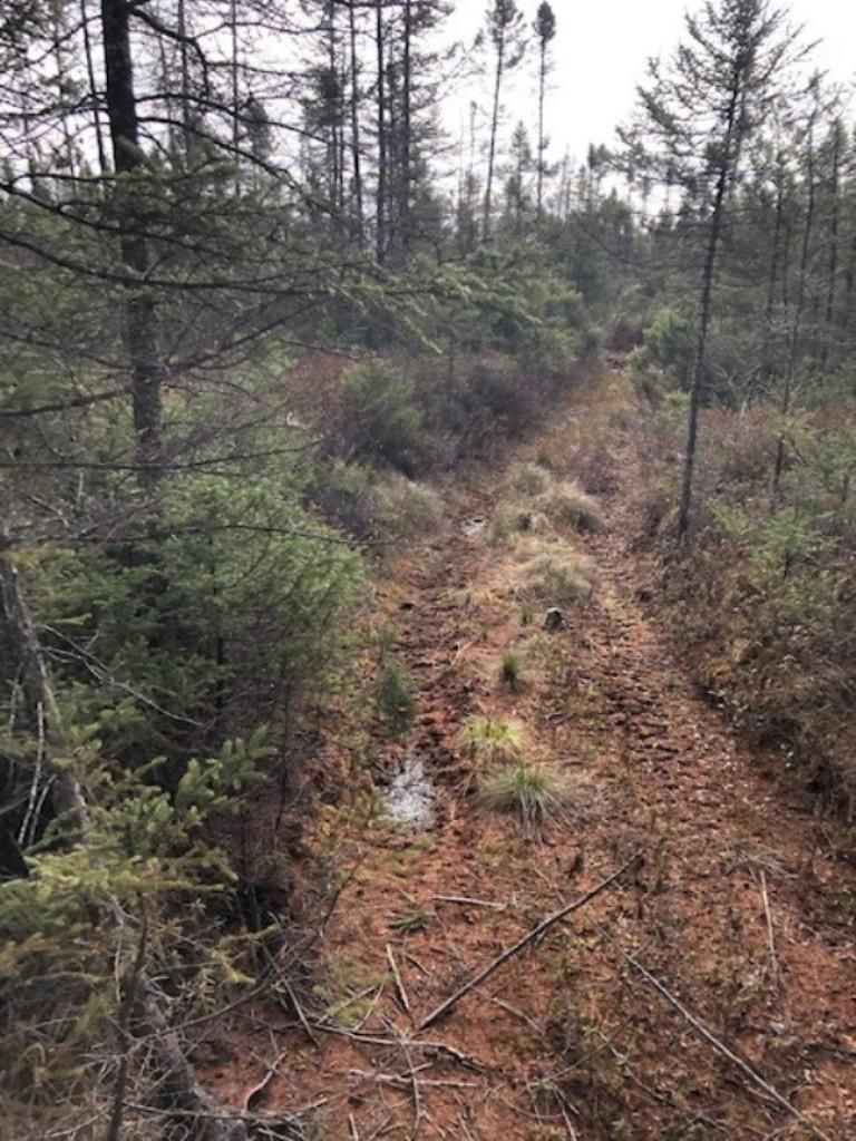 Merrill, Lincoln County, WI Recreational Property, Undeveloped Land