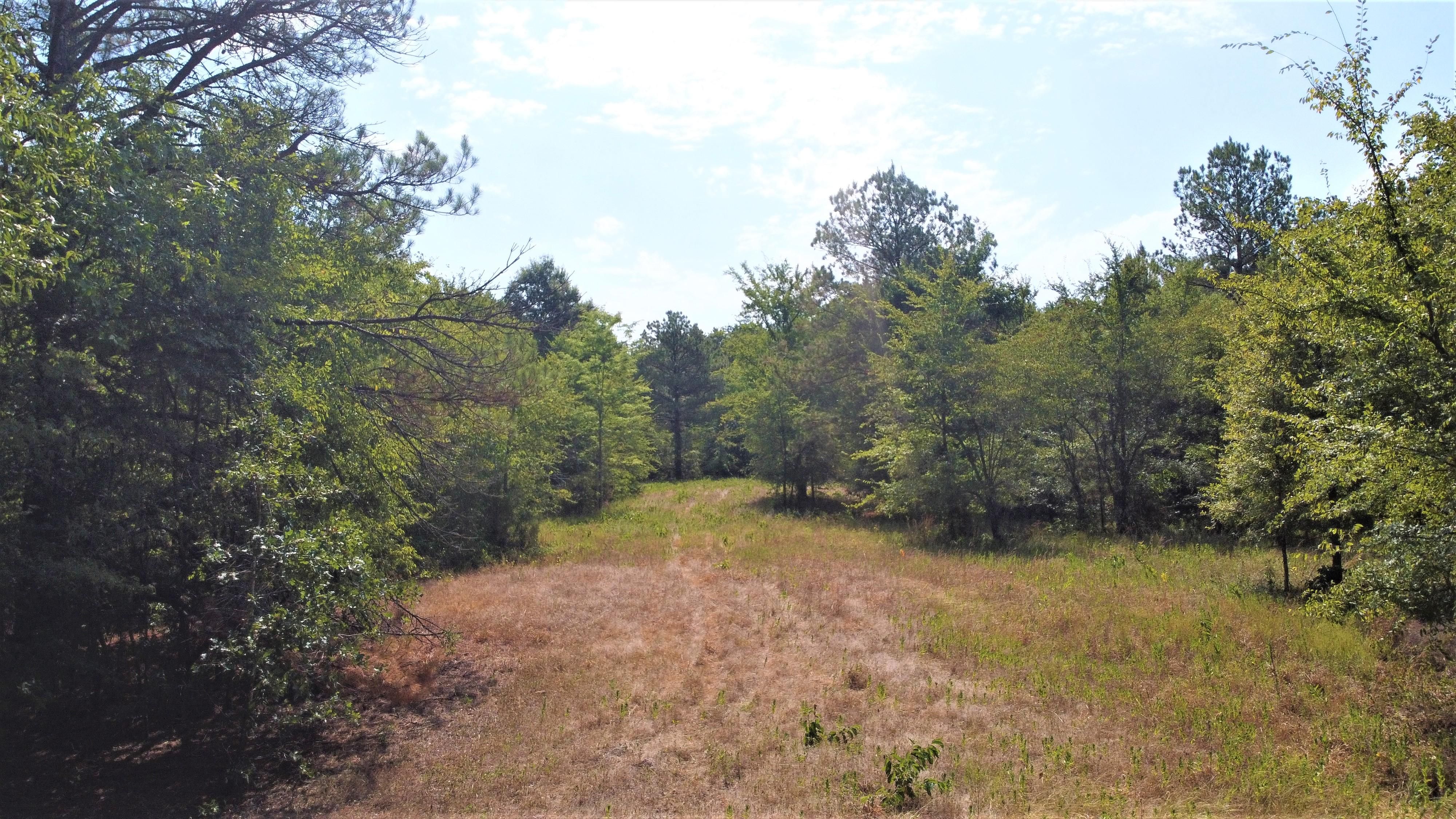 FM 2735, De Kalb, TX 75559 MLS 109944 LandWatch