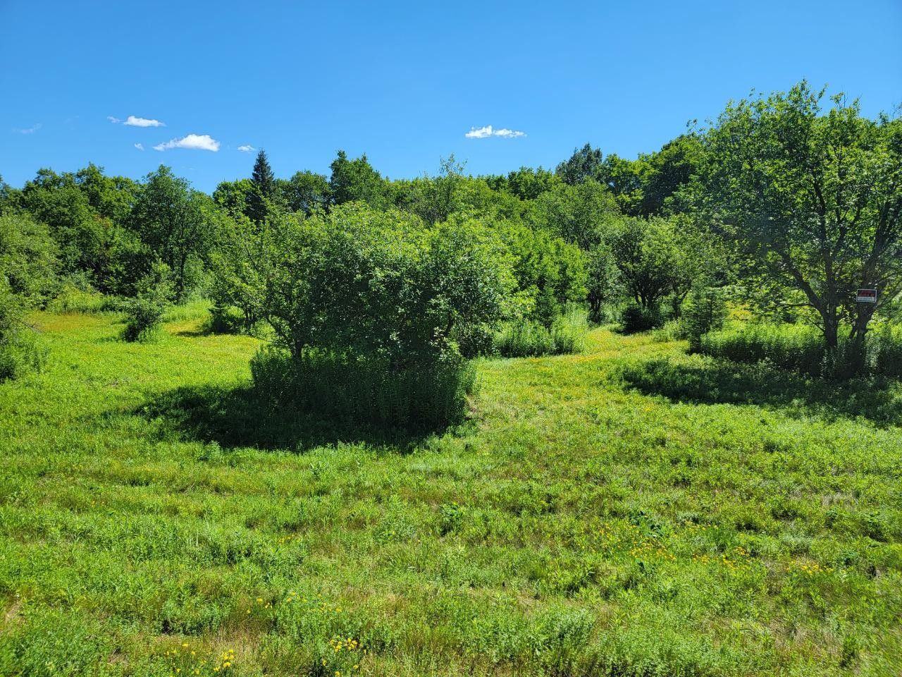 Crandon, Forest County, WI Undeveloped Land for sale Property ID