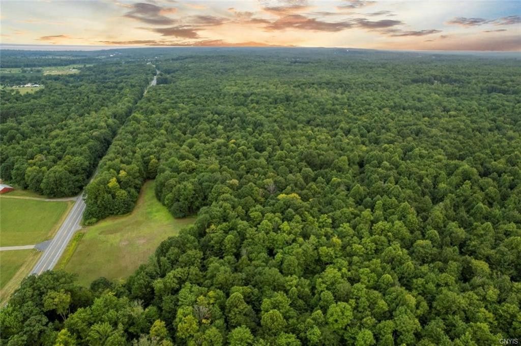 Blossvale, Oneida County, NY Undeveloped Land for sale Property ID