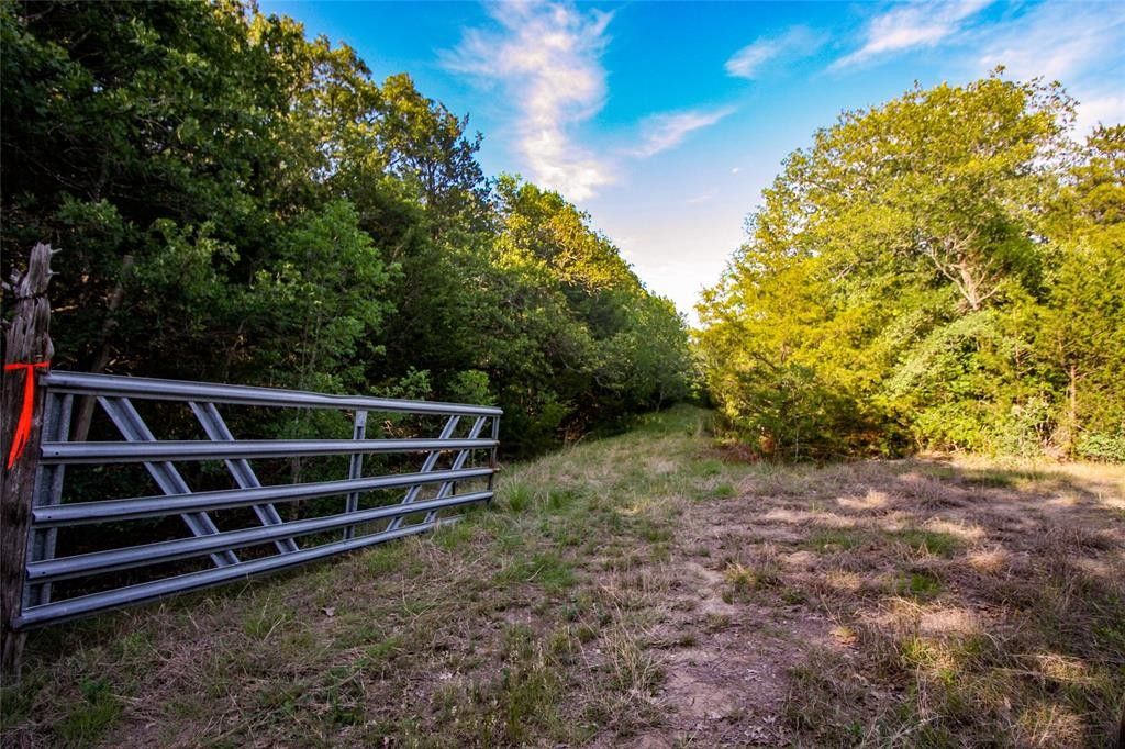 Frost, Navarro County, TX Undeveloped Land for sale Property ID