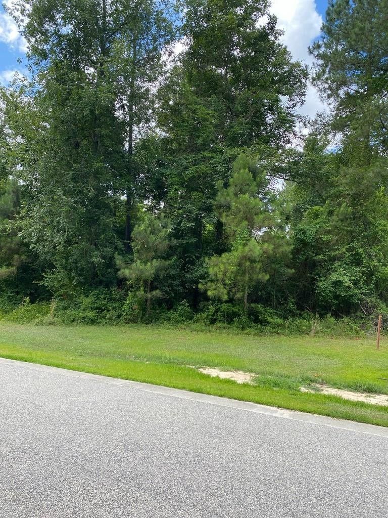 Sumter, Sumter County, SC Undeveloped Land, Homesites for sale Property