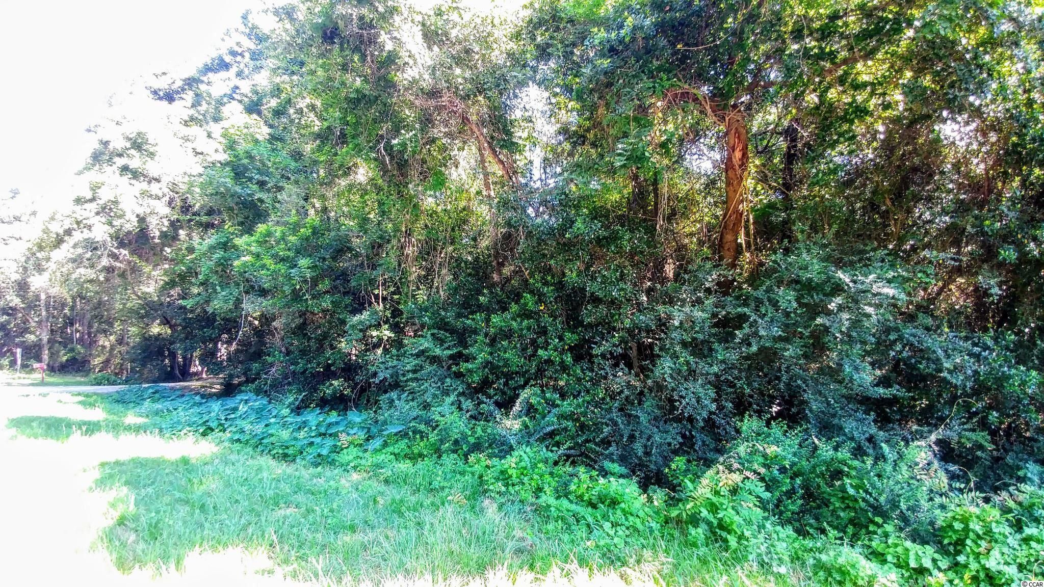 Kingstree, Williamsburg County, SC Undeveloped Land, Homesites for sale Property ID 414316212