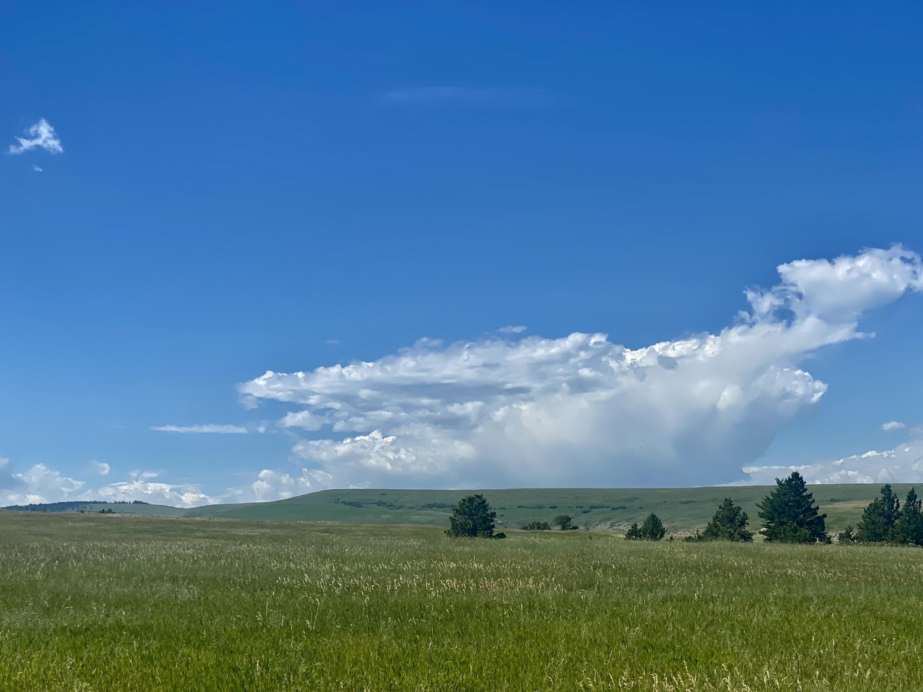 Forest Grove, Fergus County, MT Undeveloped Land for sale Property ID