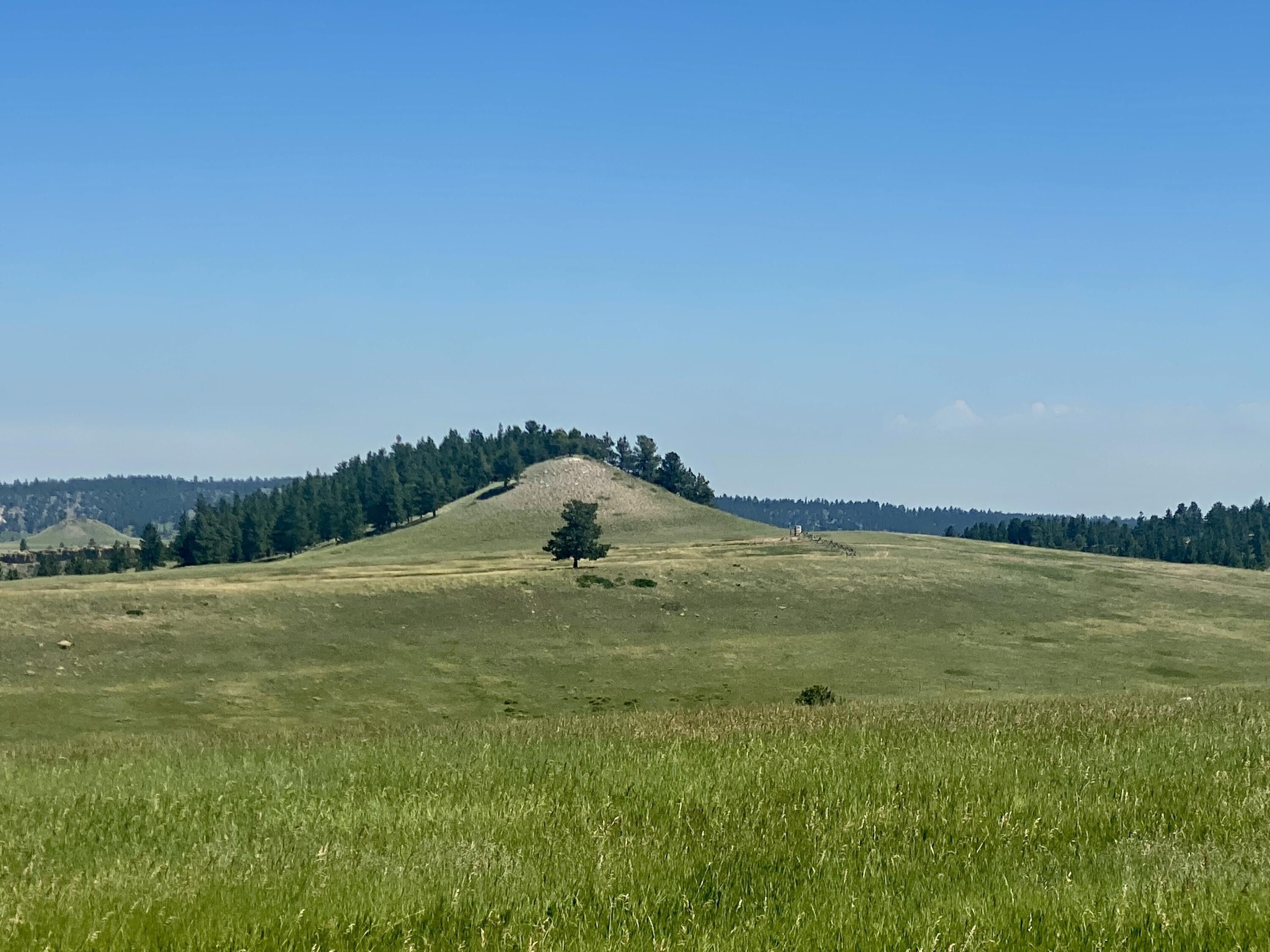 Forest Grove, Fergus County, MT Undeveloped Land for sale Property ID