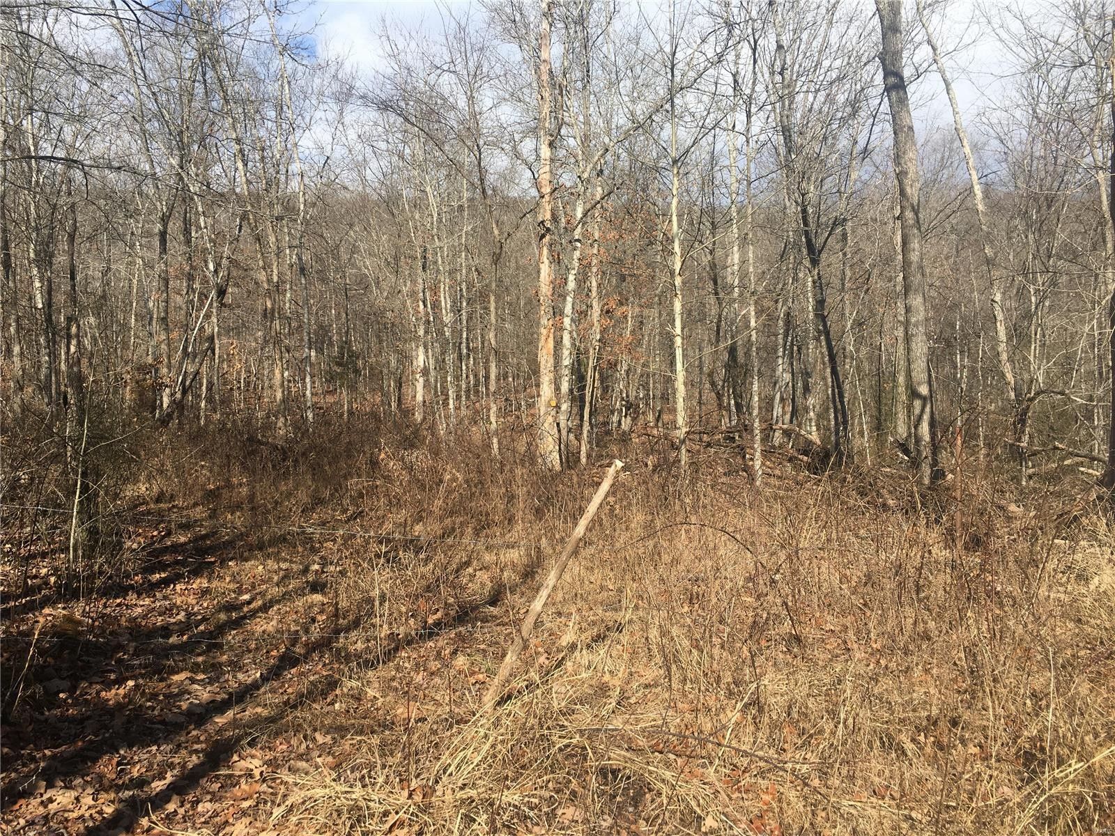 Piedmont, Wayne County, MO Farms and Ranches for sale Property ID