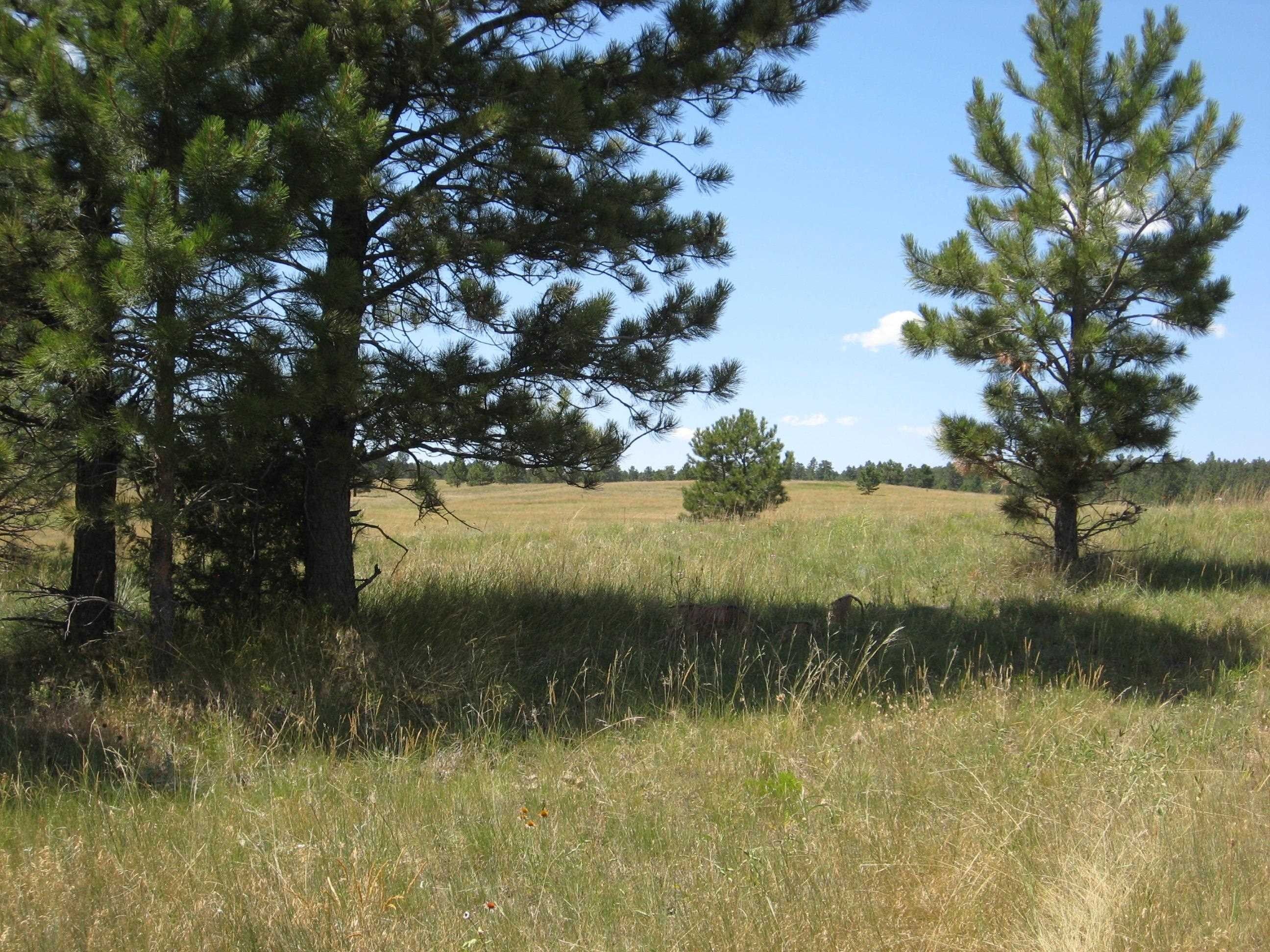 Hot Springs, Fall River County, SD Undeveloped Land for sale Property