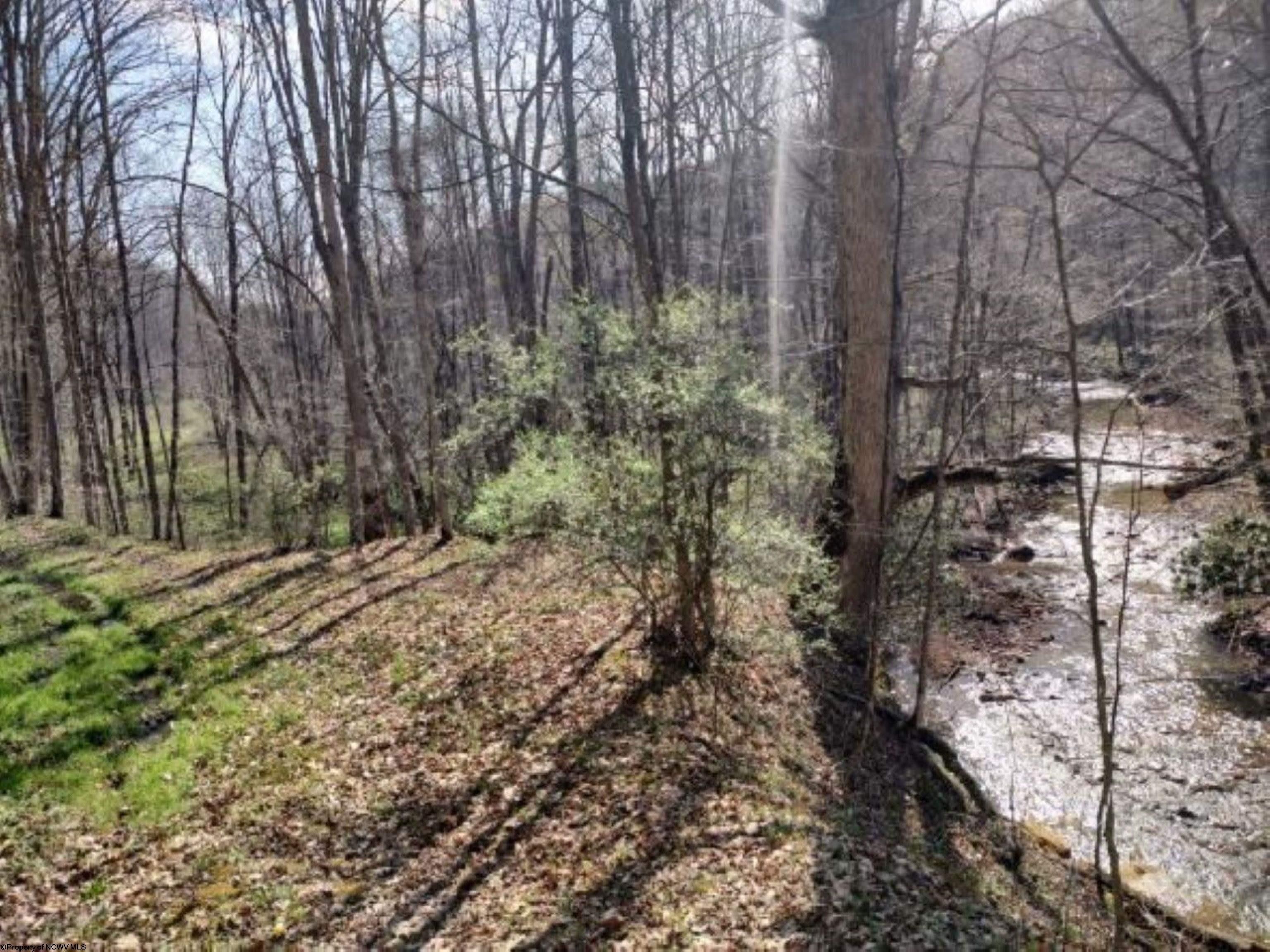Newburg, Preston County, WV Farms and Ranches, Lakefront Property